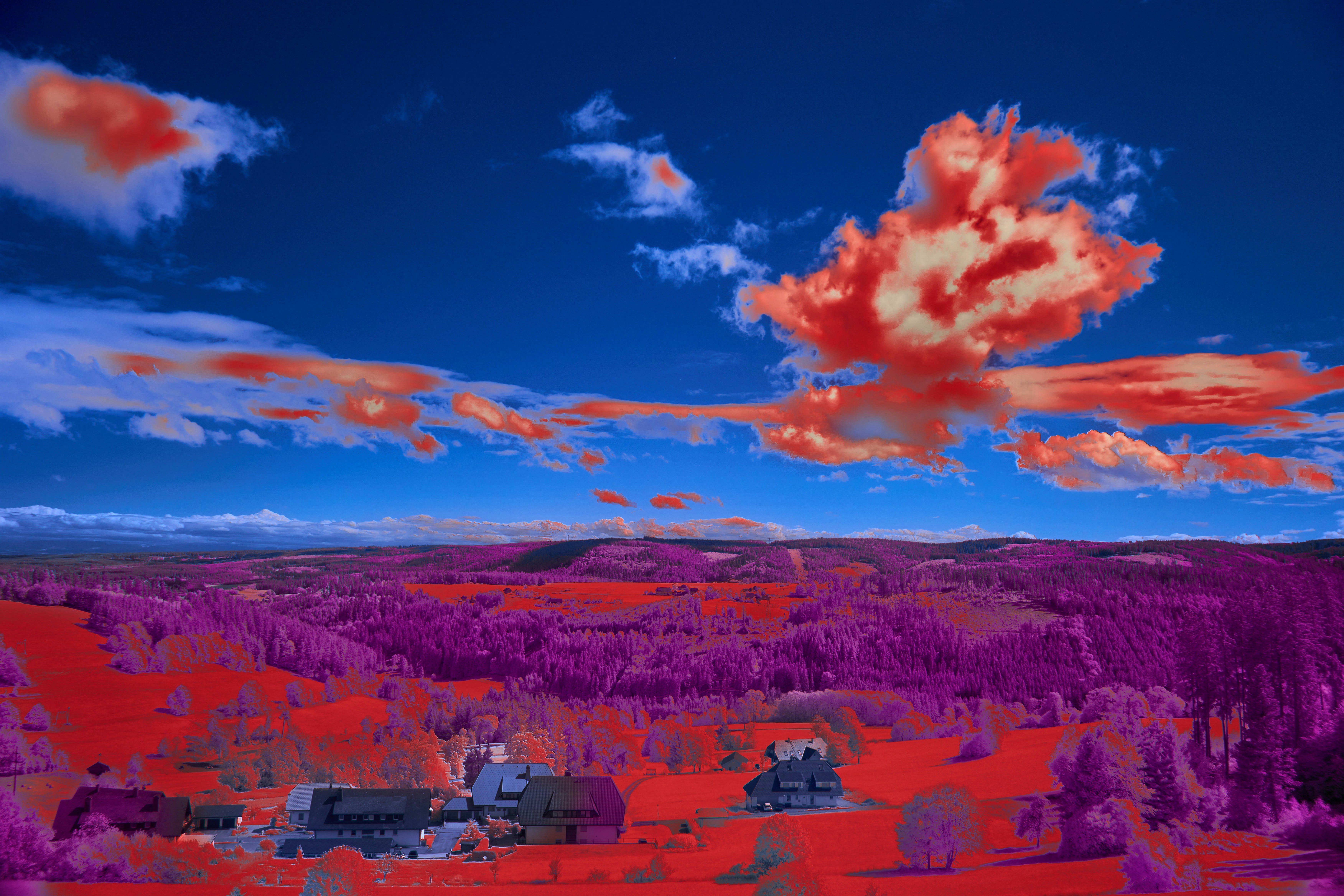 Photo by wolfgang_hasselmann