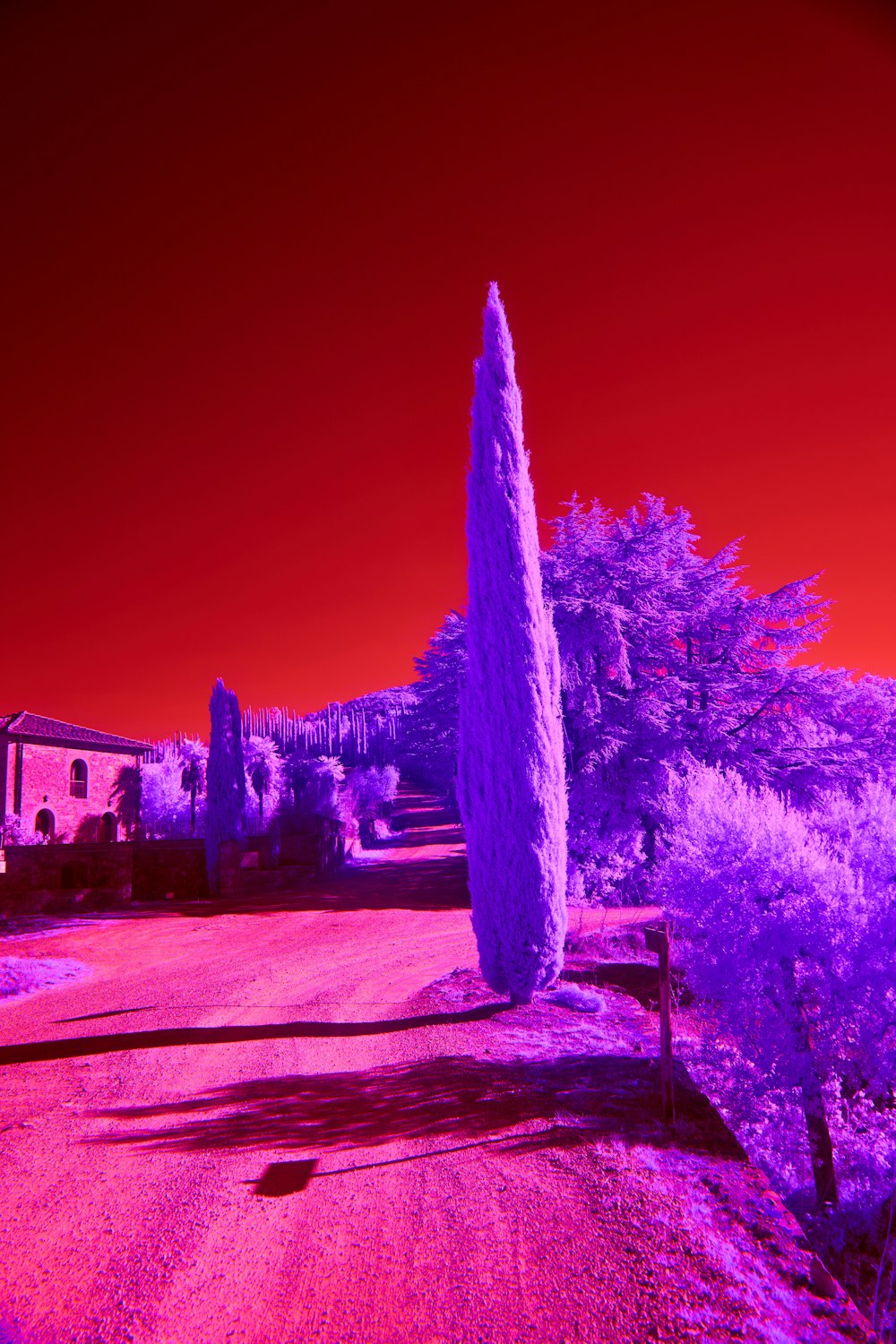 a red and purple infrared image of a house