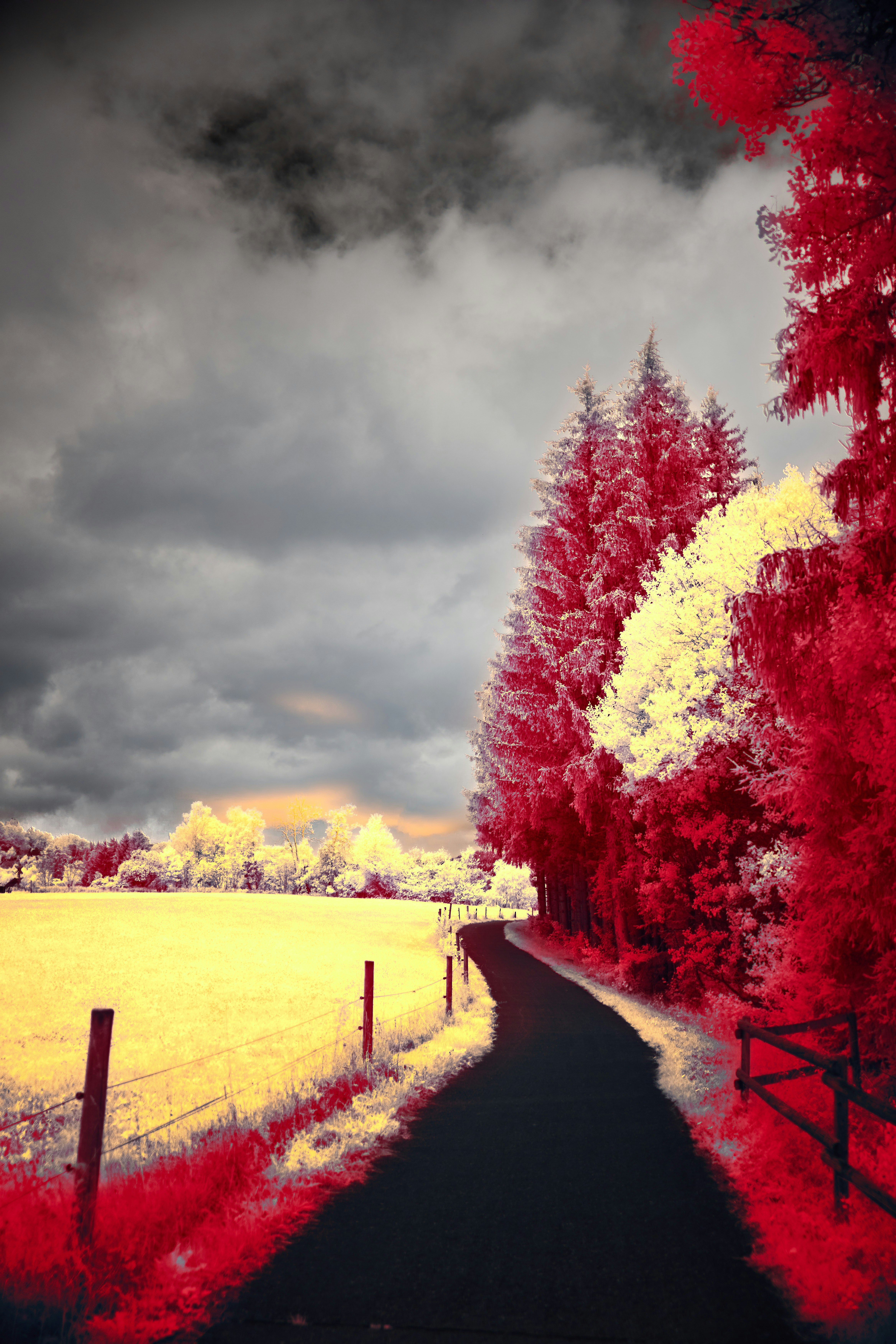 Photo by wolfgang_hasselmann