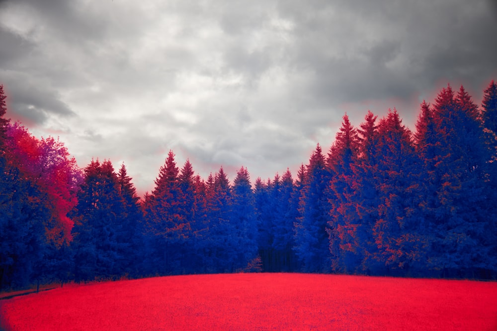 a red field surrounded by trees under a cloudy sky