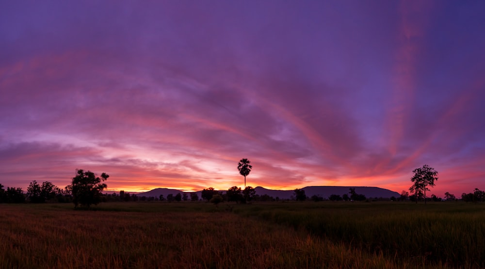 a field with trees and a sunset in the background