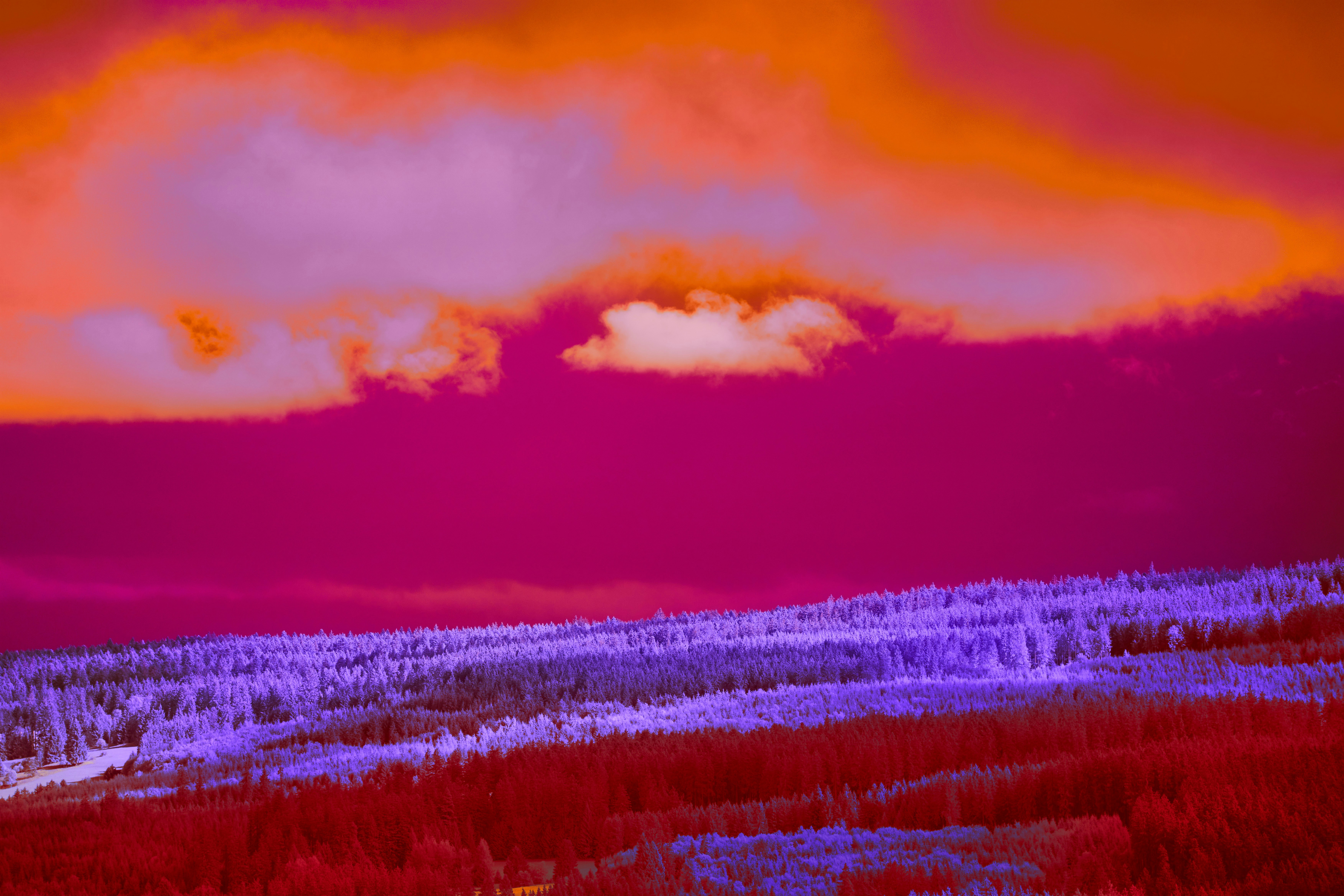 Photo by wolfgang_hasselmann