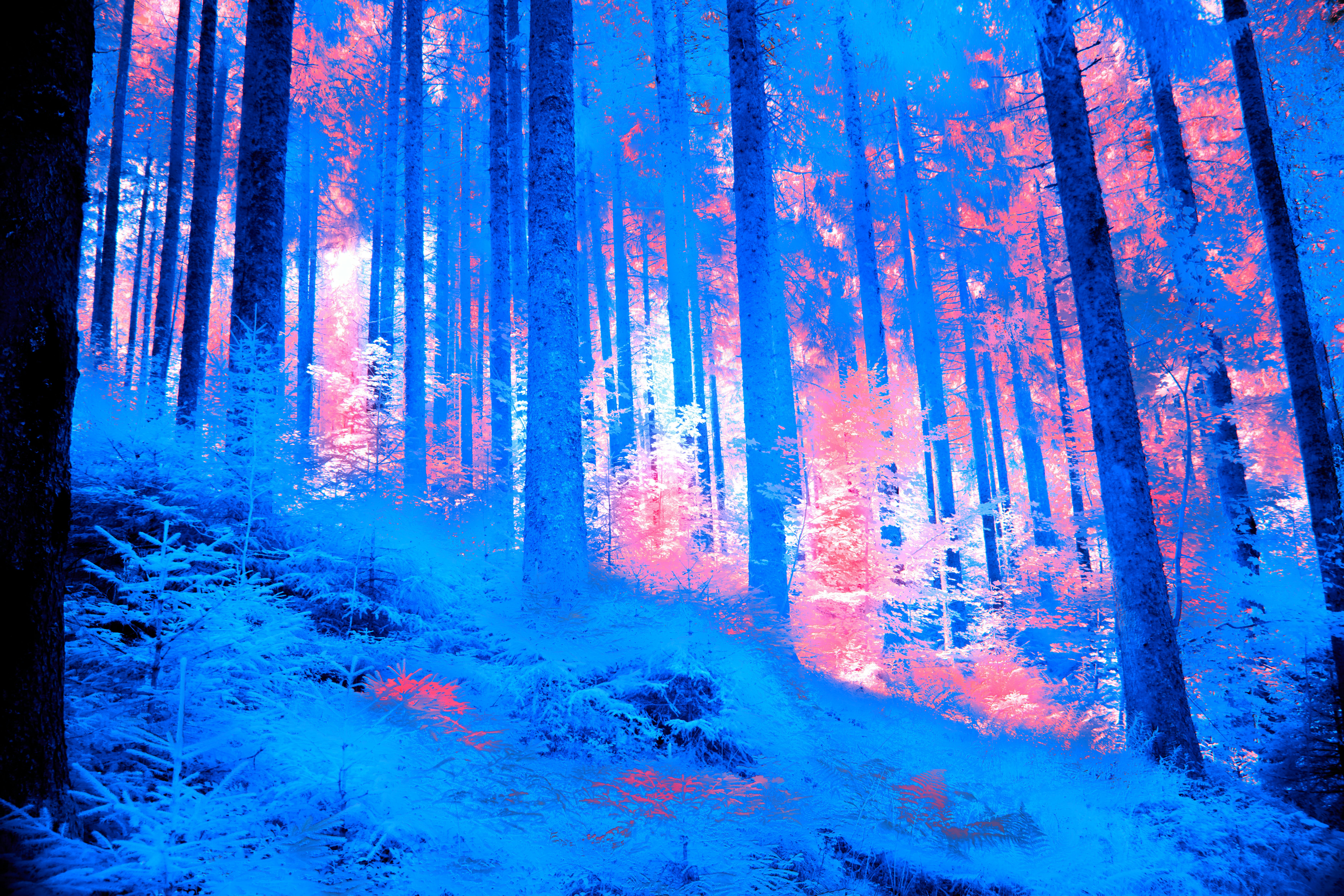 Photo by wolfgang_hasselmann