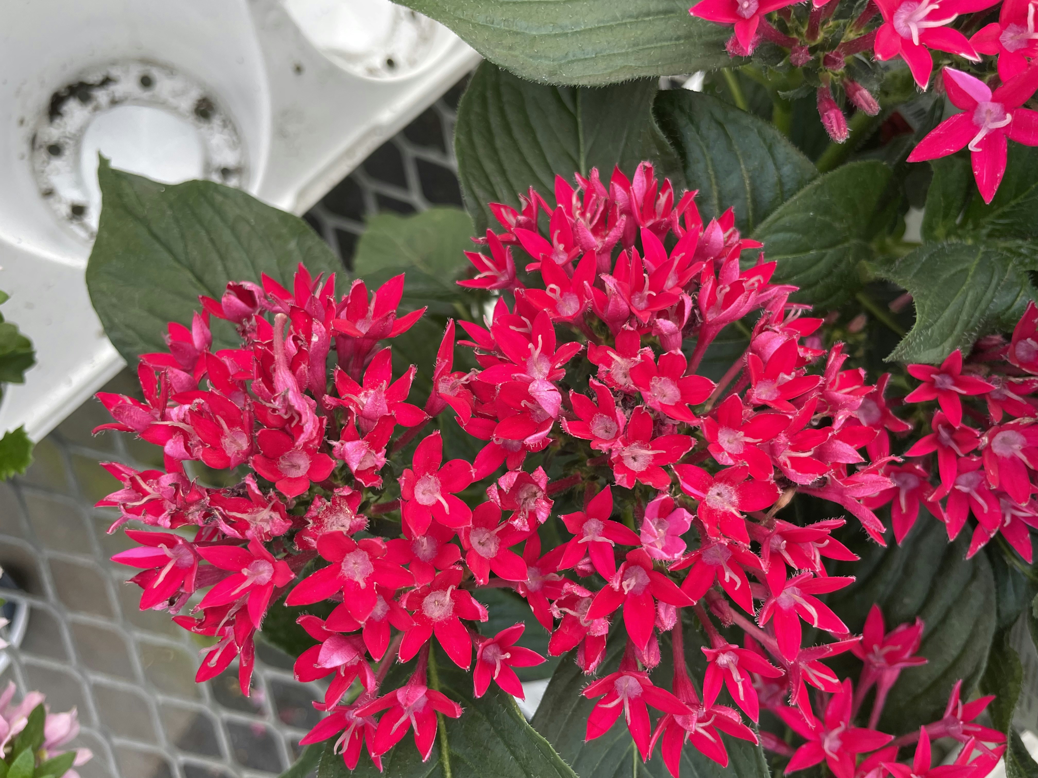 Photo by loveandbeloved101