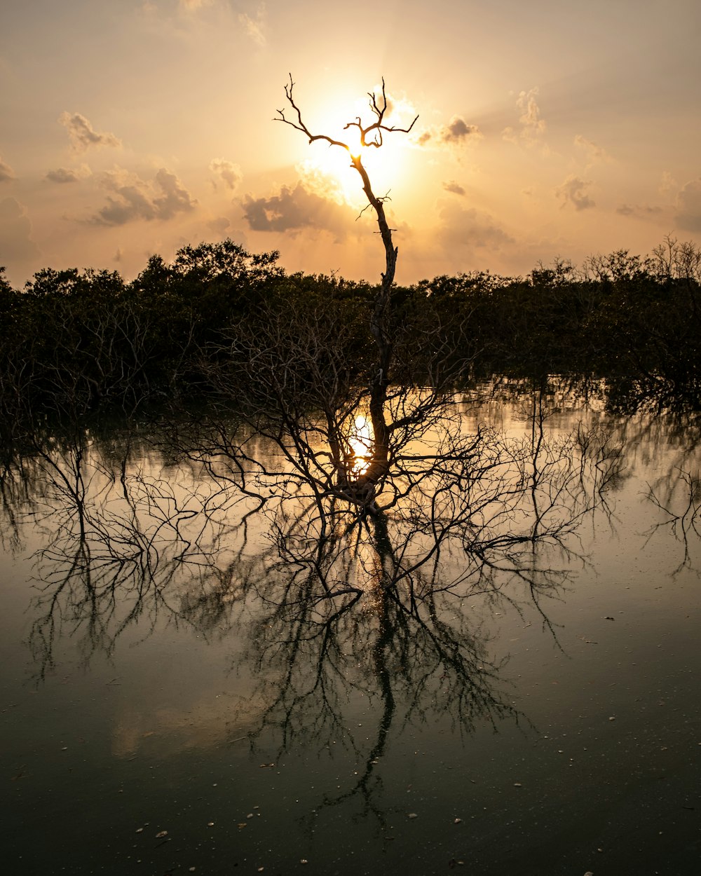 the sun is setting over a body of water