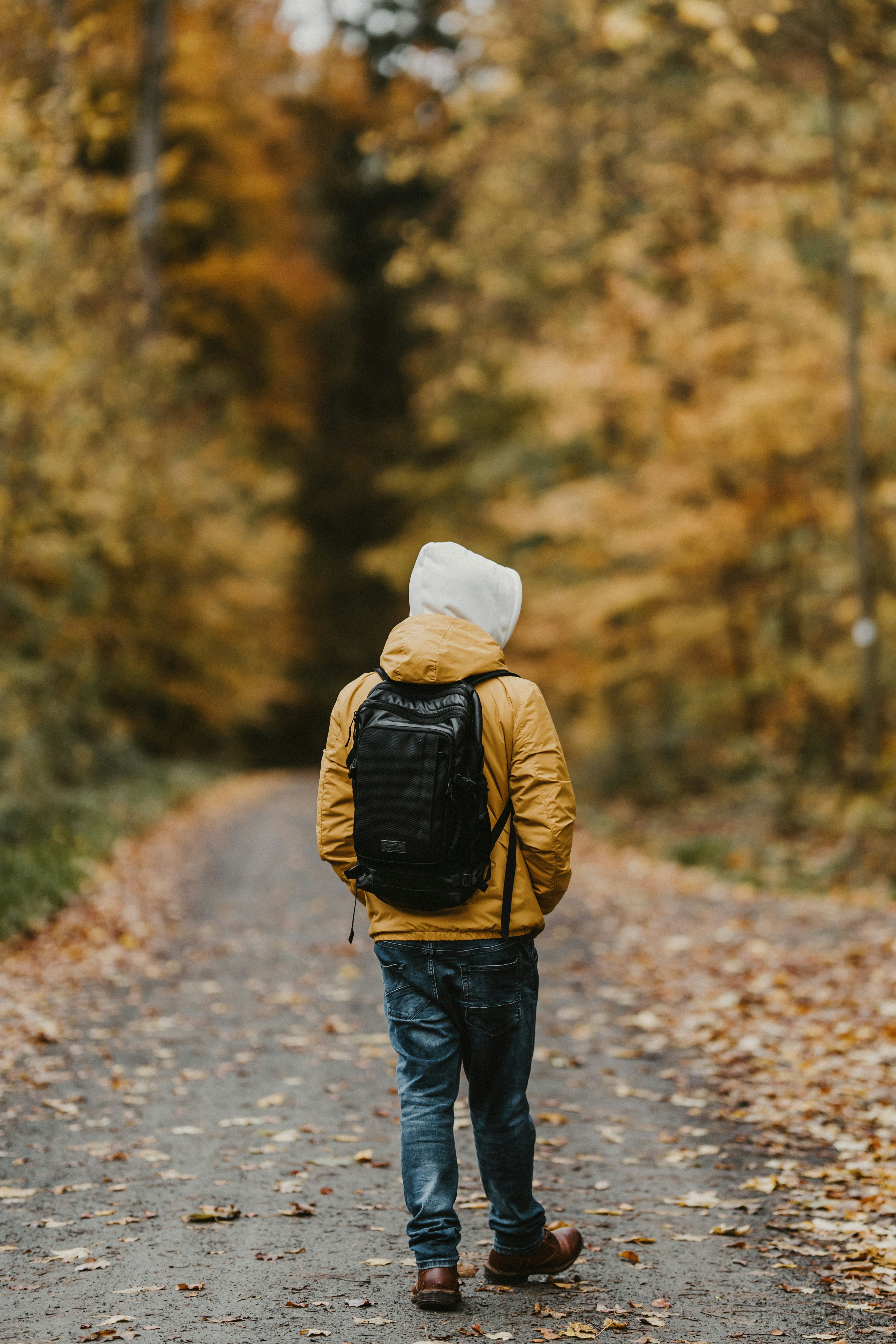 Photo by masoodaslami