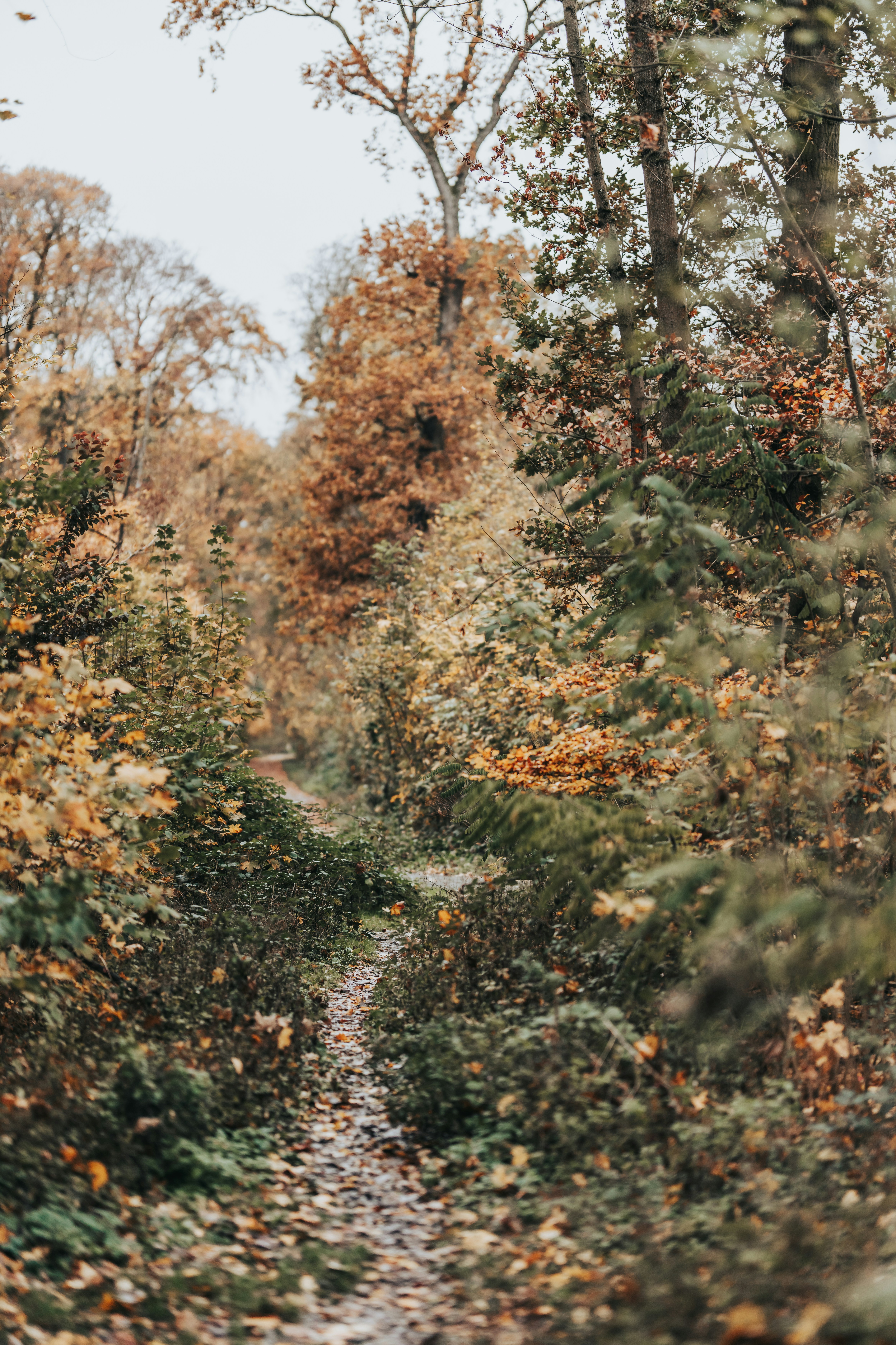 Photo by masoodaslami