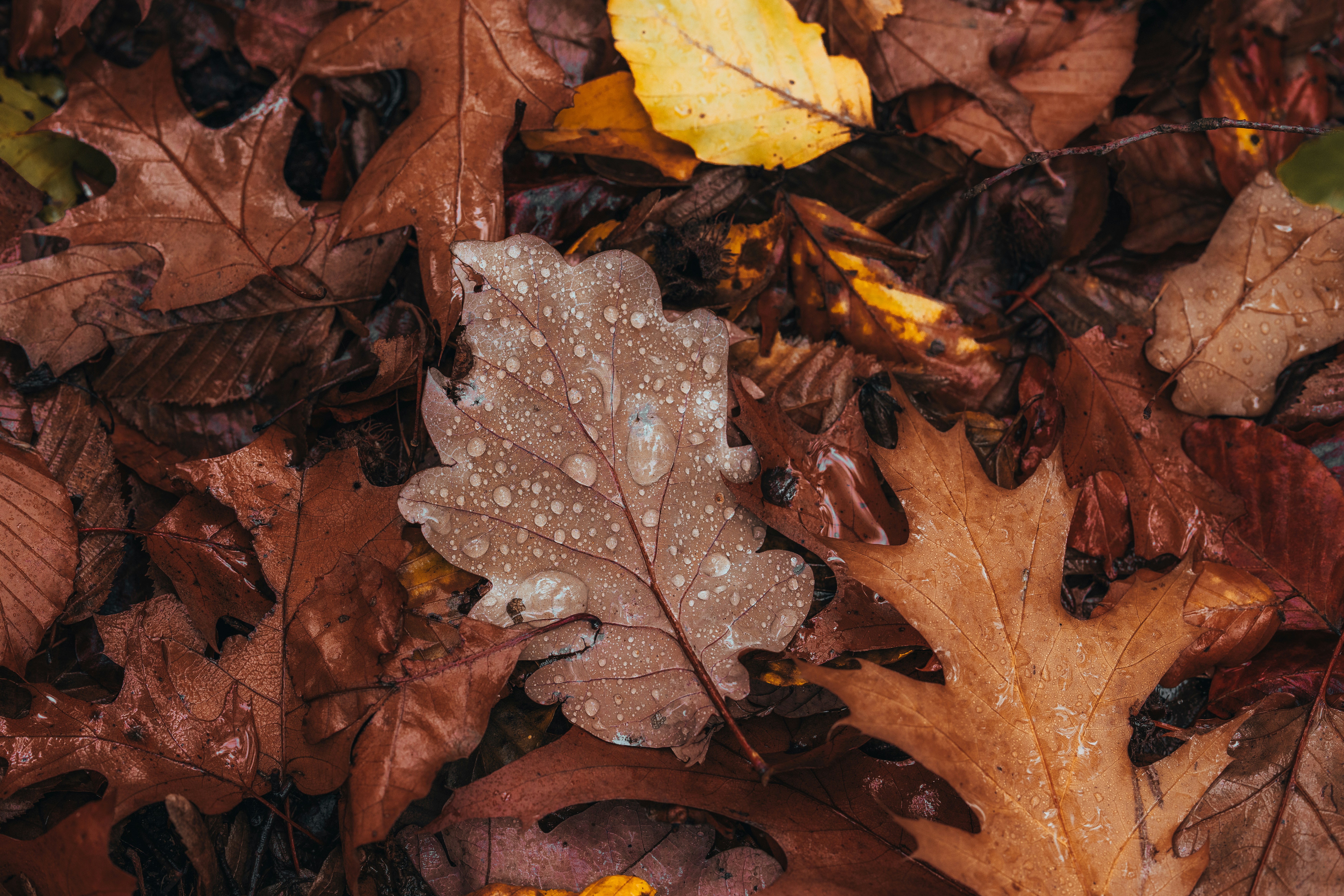 Photo by masoodaslami