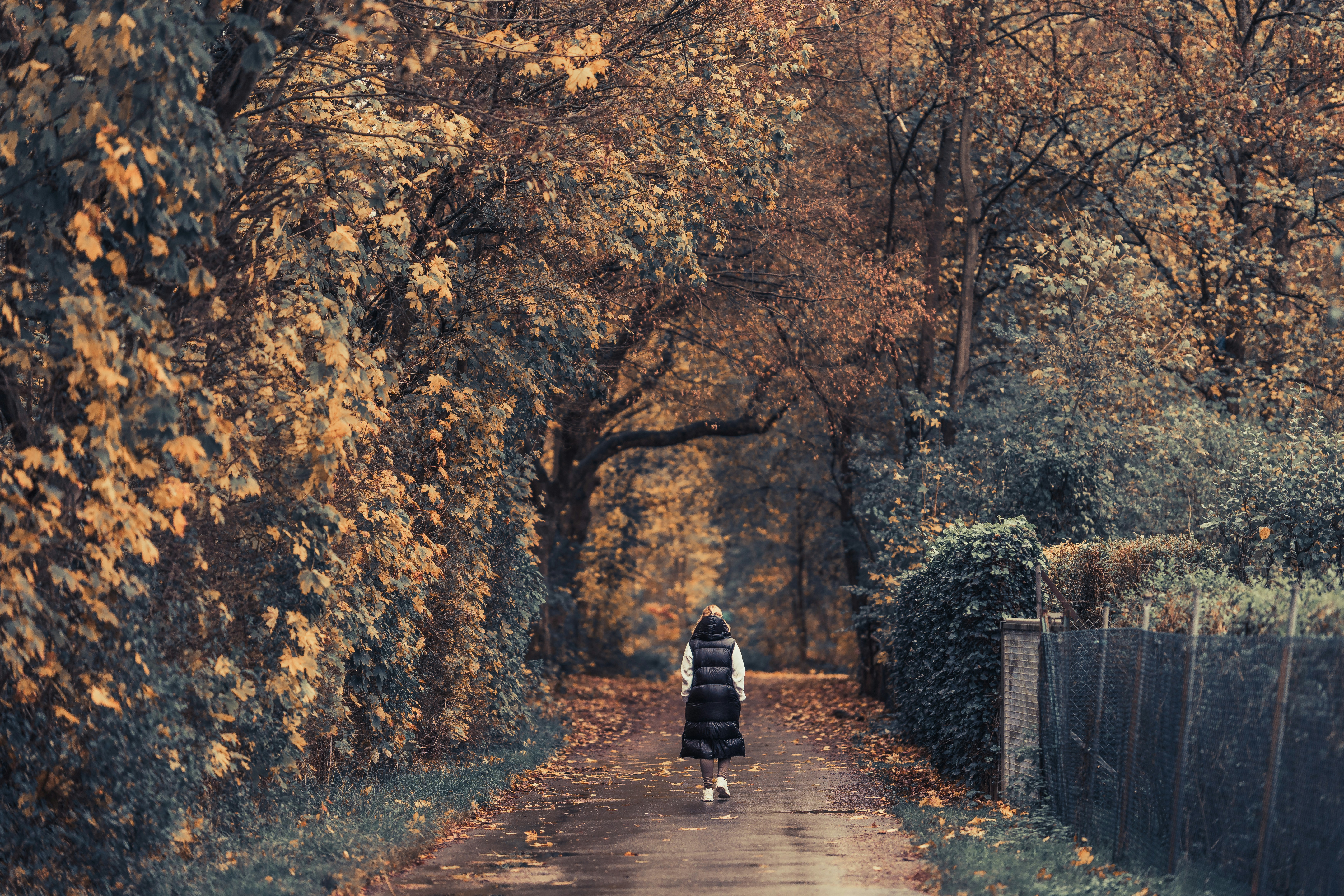 Photo by masoodaslami