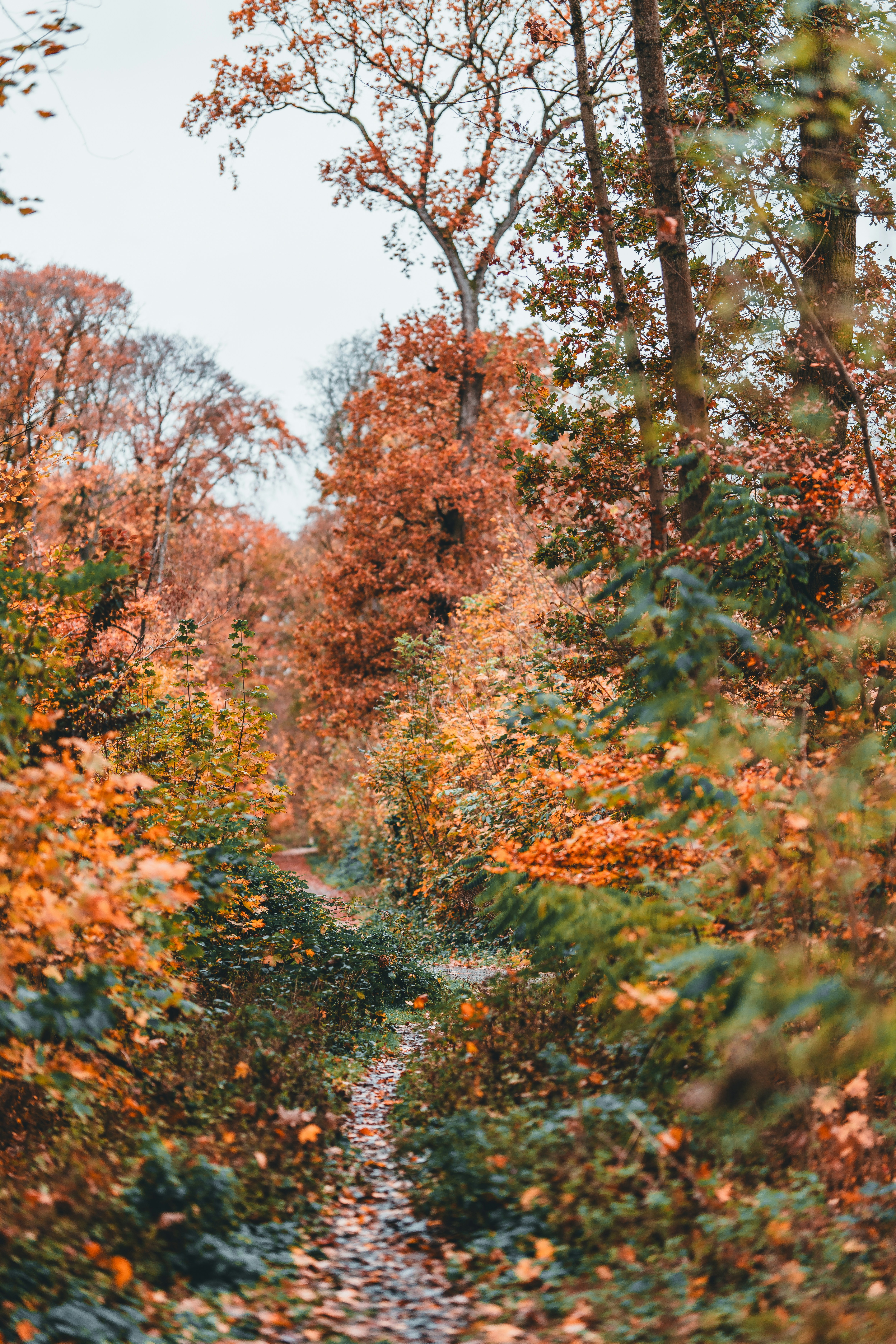 Photo by masoodaslami