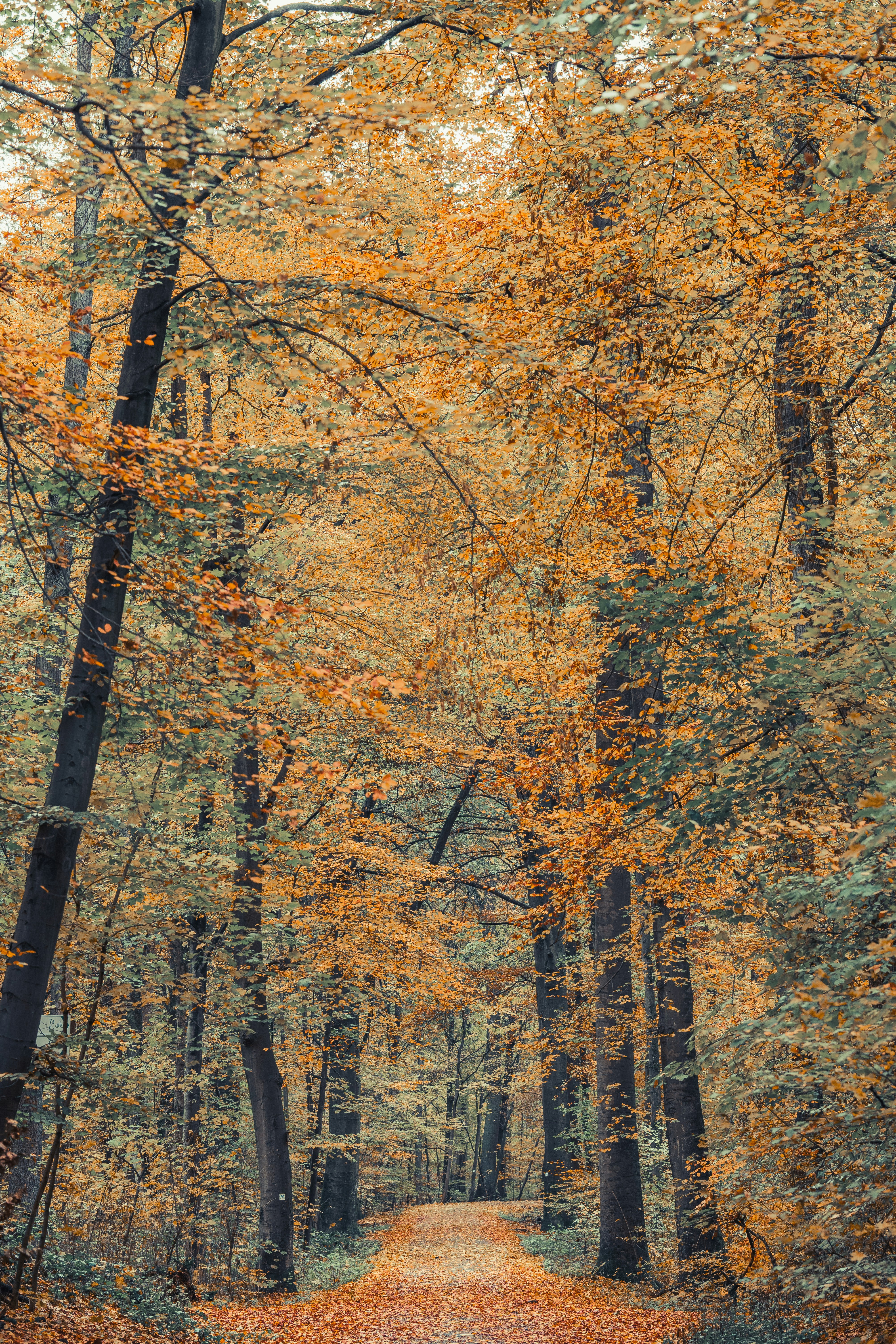 Photo by masoodaslami