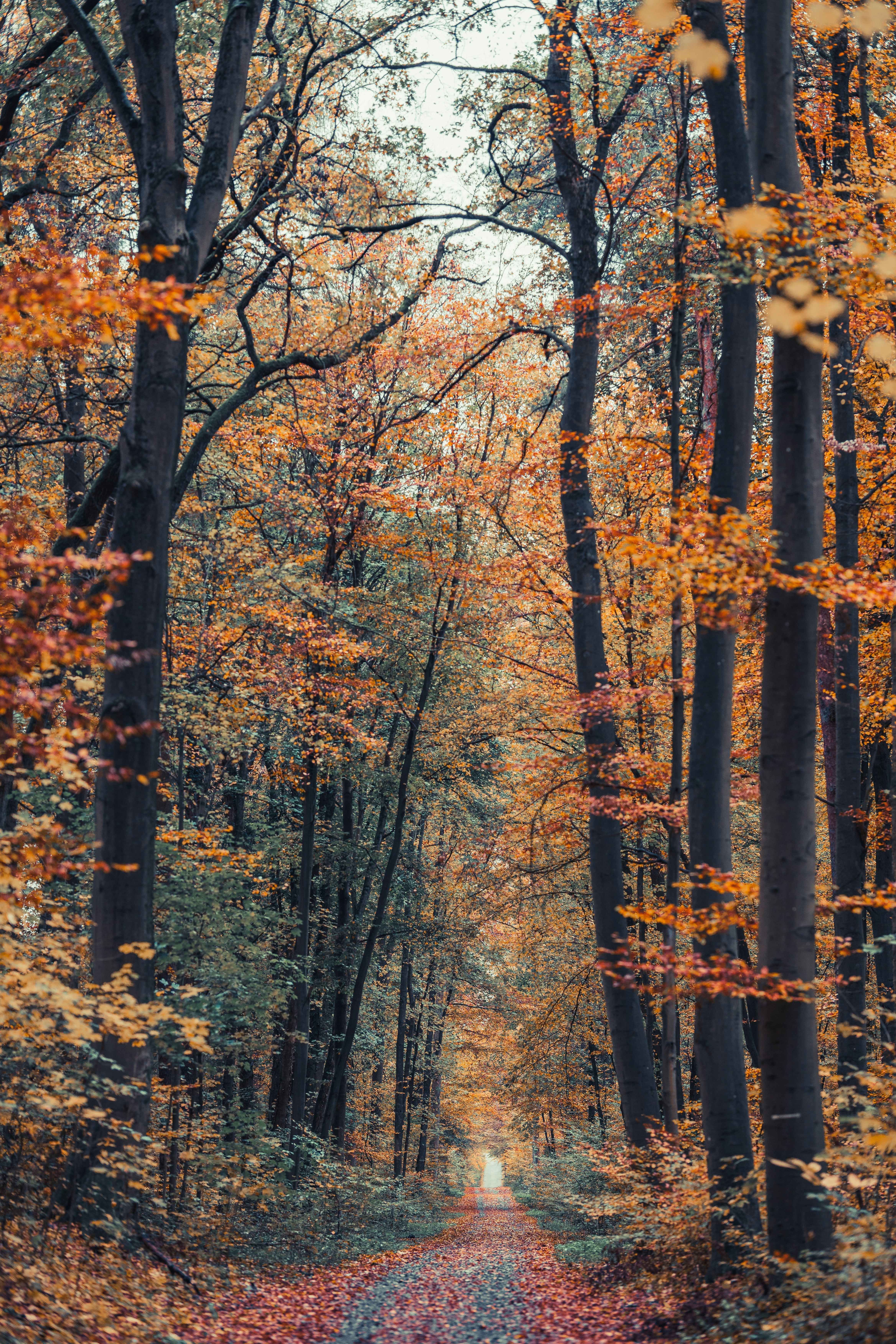 Photo by masoodaslami