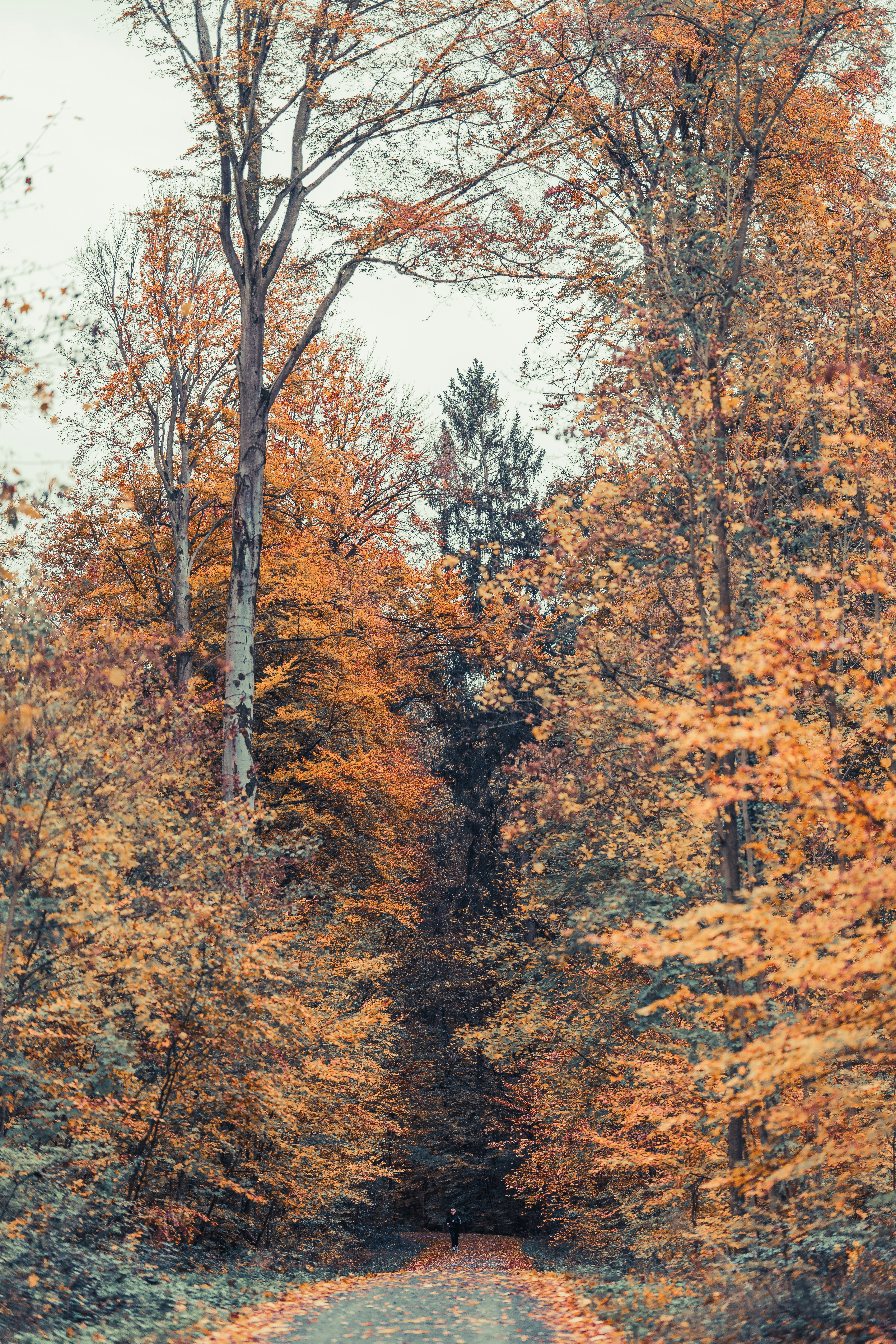 Photo by masoodaslami