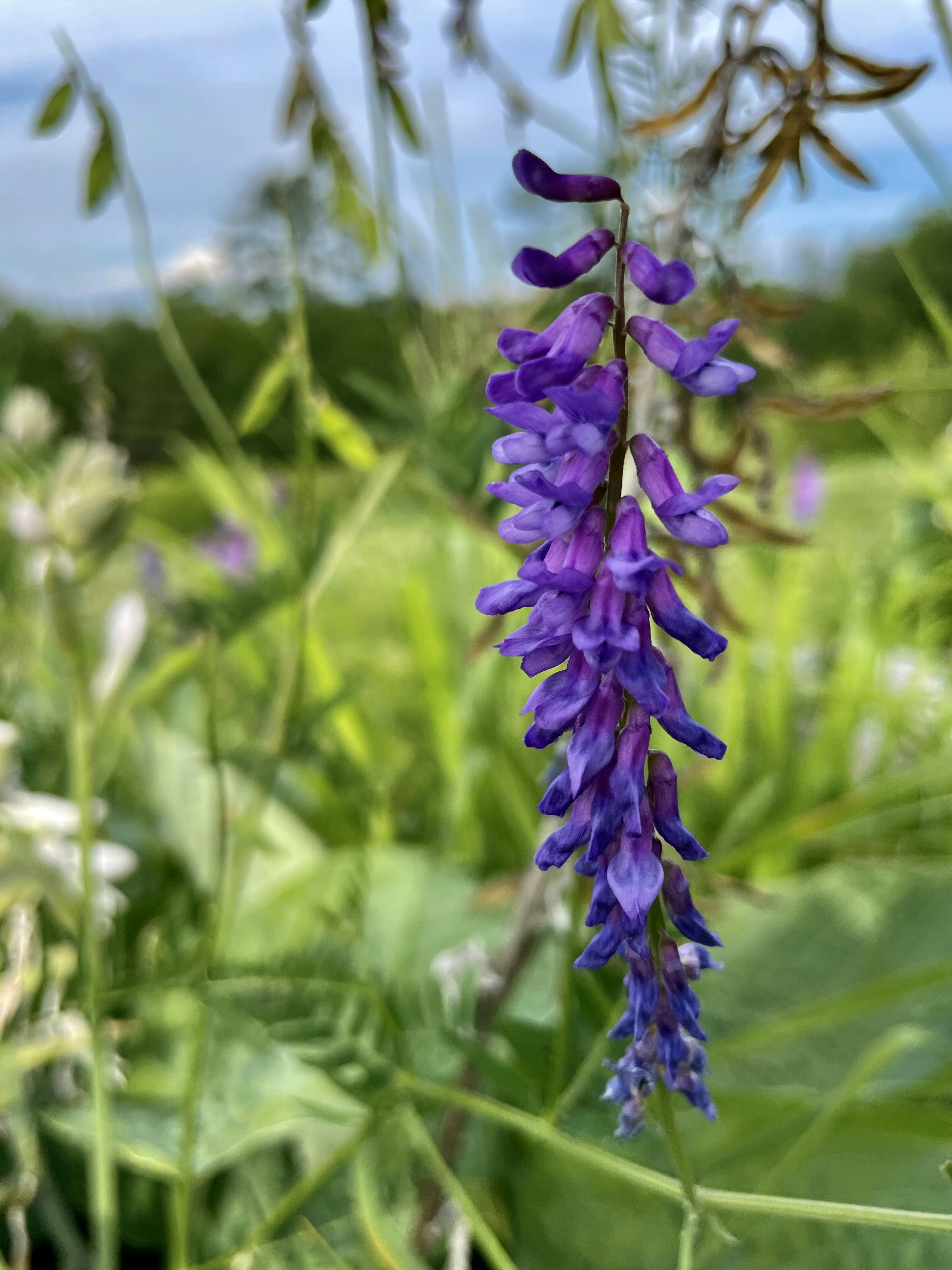 Photo by loveandbeloved101