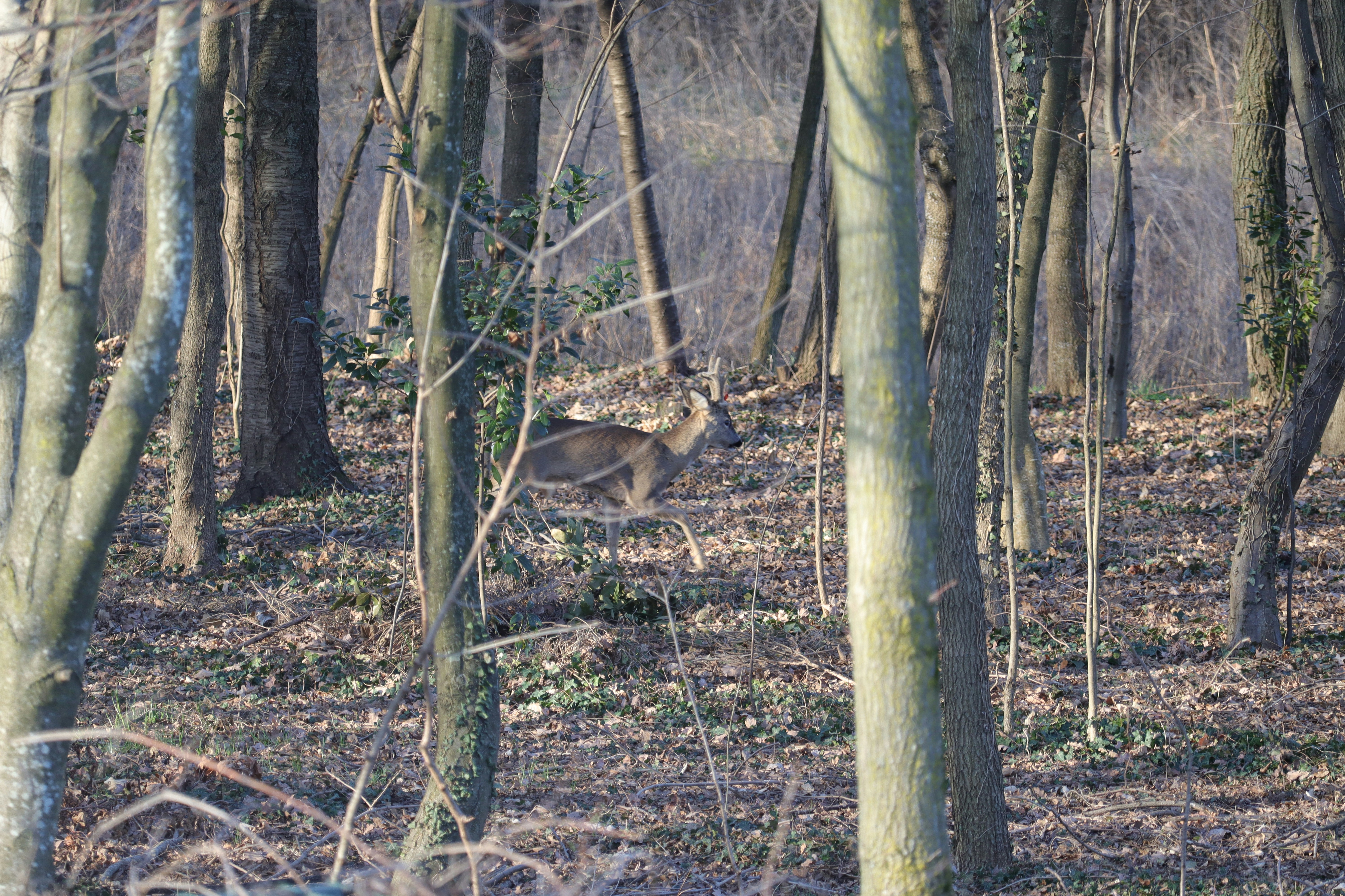 Photo by marco_contardo