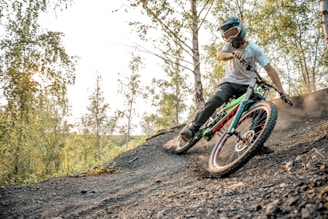 A person wearing protective gear rides a mountain bike on a dirt trail in a forested area. The rider is in action, kicking up dust as they navigate a turn. Trees with green leaves surround the trail, and the sunlight filters through the foliage.