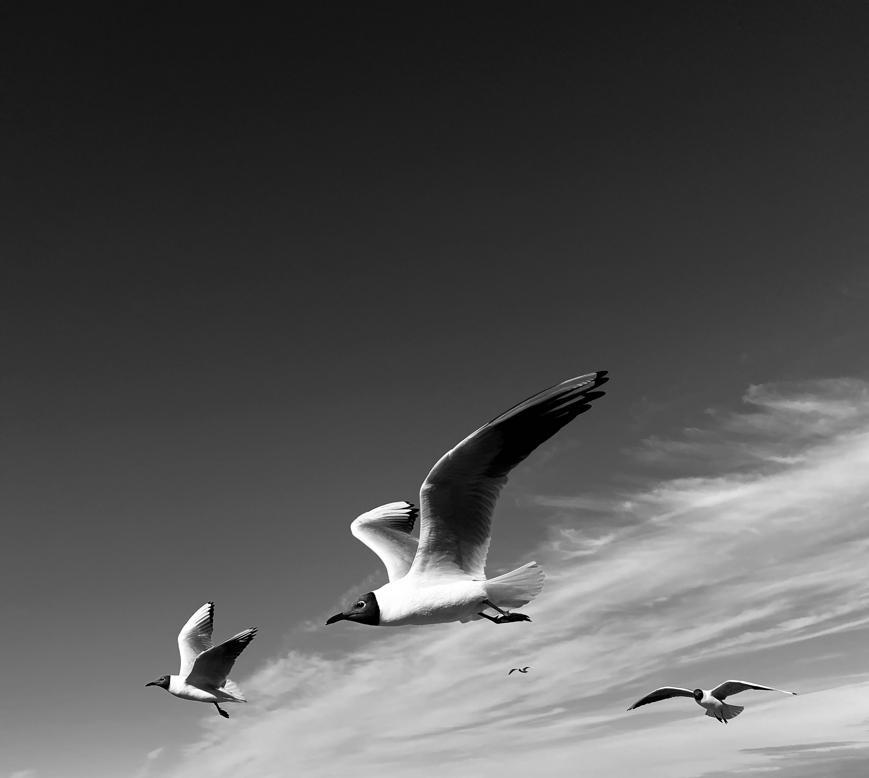 Photo by alexanderkastuev