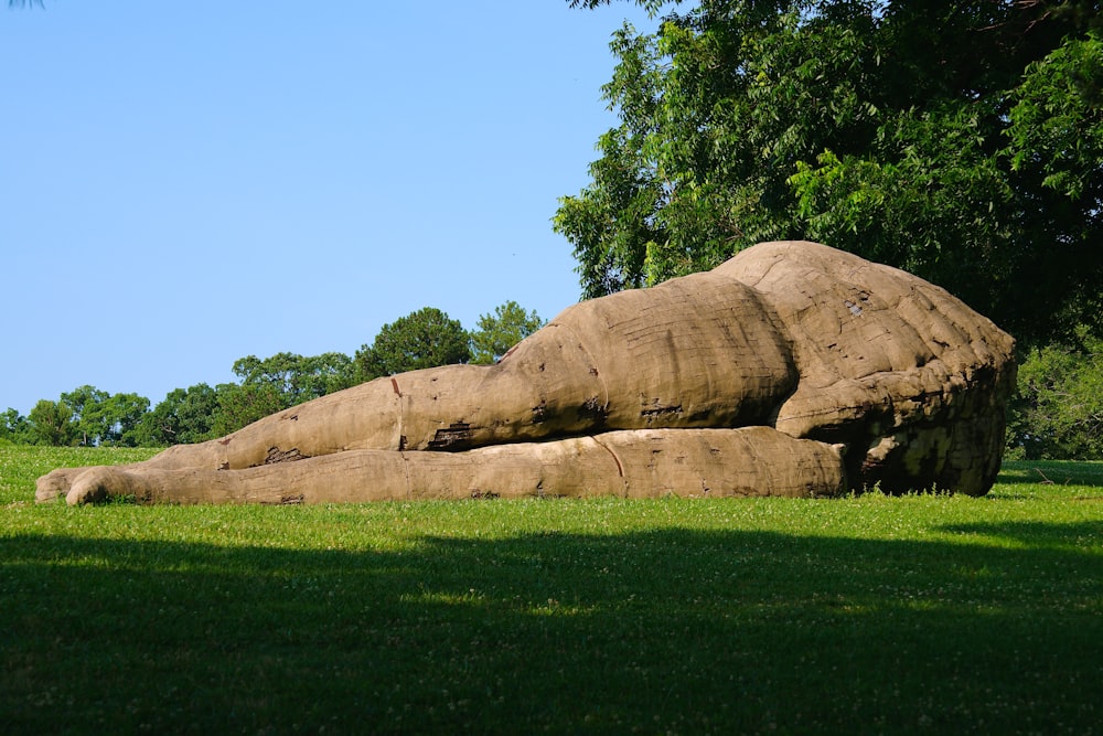 a large rock laying on top of a lush green field