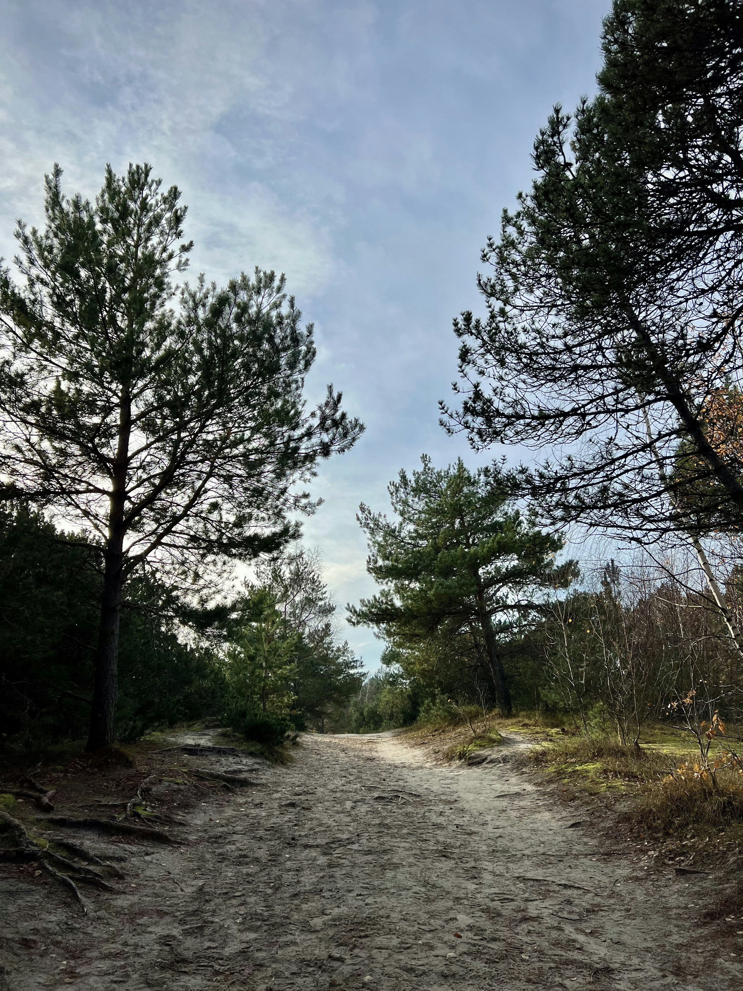 Стежка Apache поблизу Tortilla Flats