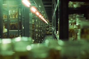 Rows of glass jars are neatly arranged on shelves in a dimly lit storage room with fluorescent lighting casting a greenish hue. The jars appear to contain preserved specimens, suggesting a scientific or archival setting.