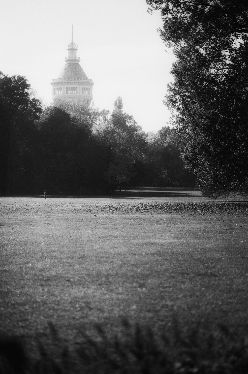 a black and white photo of a park with a clock tower in the background