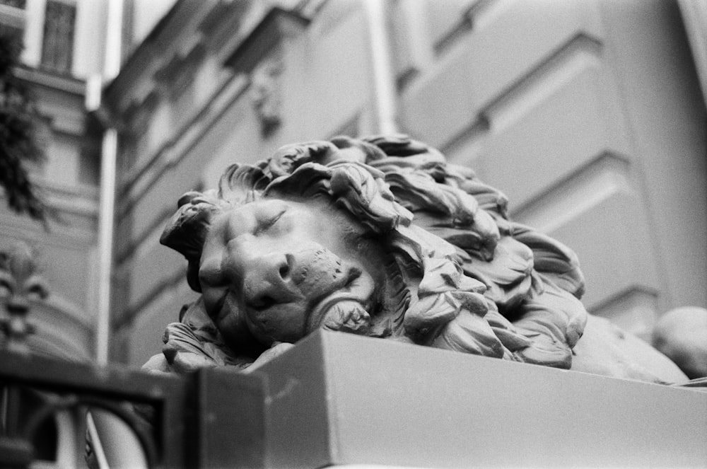 Una foto en blanco y negro de una estatua de un león