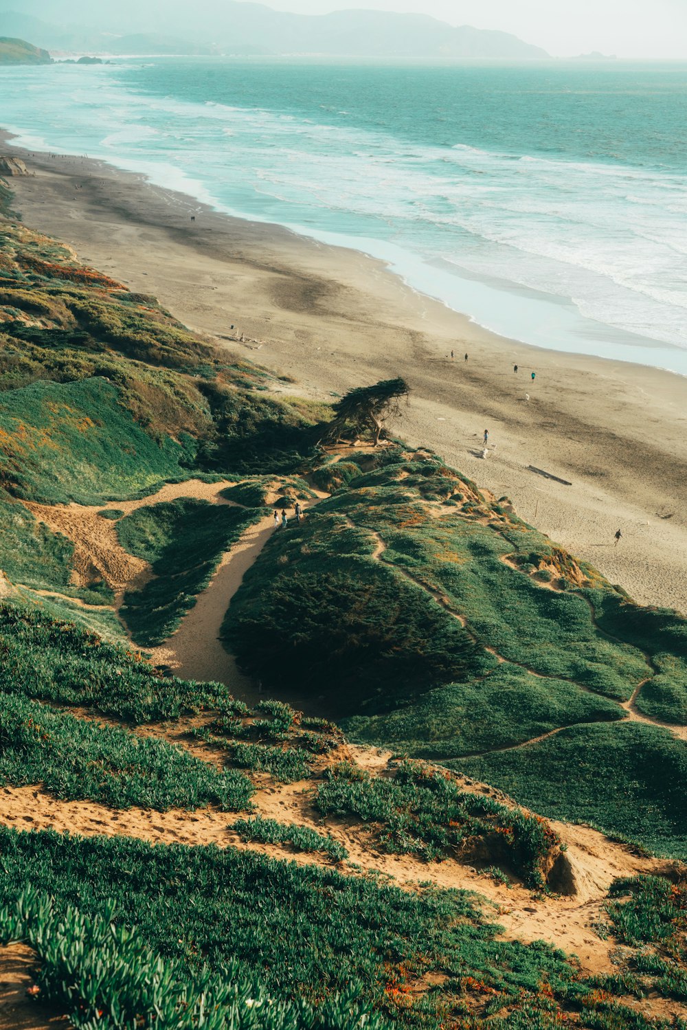 uma vista de uma praia de areia e oceano de uma colina