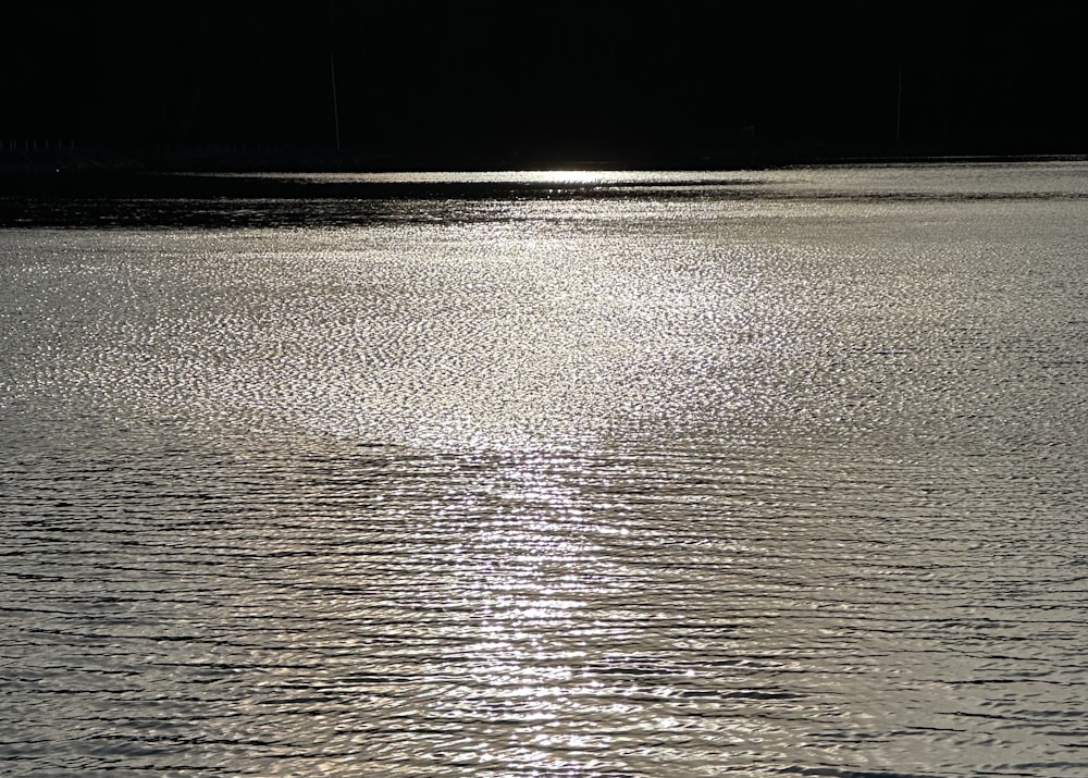 a person on a surfboard in the middle of a body of water