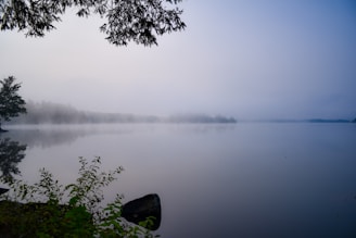 A quiet morning scene by a misty lake with reflections of trees