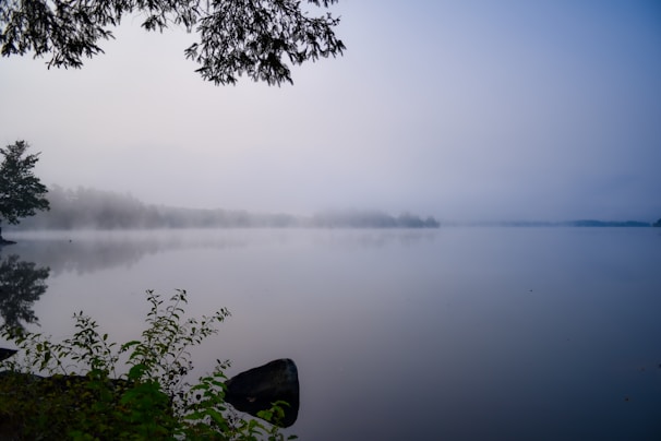 A quiet morning scene by a misty lake with reflections of trees