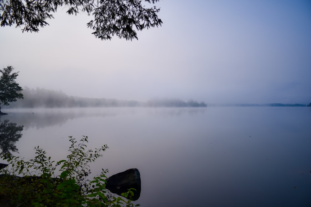 a foggy lake with a boat in the foreground