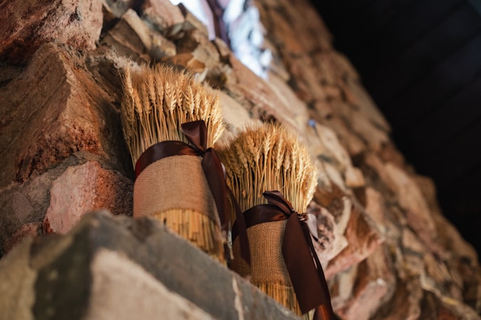 Two bundles of wheat are tied with dark brown ribbons and placed on a rustic stone wall. The wheat has a golden hue and is wrapped in burlap, creating an earthy and natural display. The stone background adds a rugged texture and a warm, cozy atmosphere to the scene.