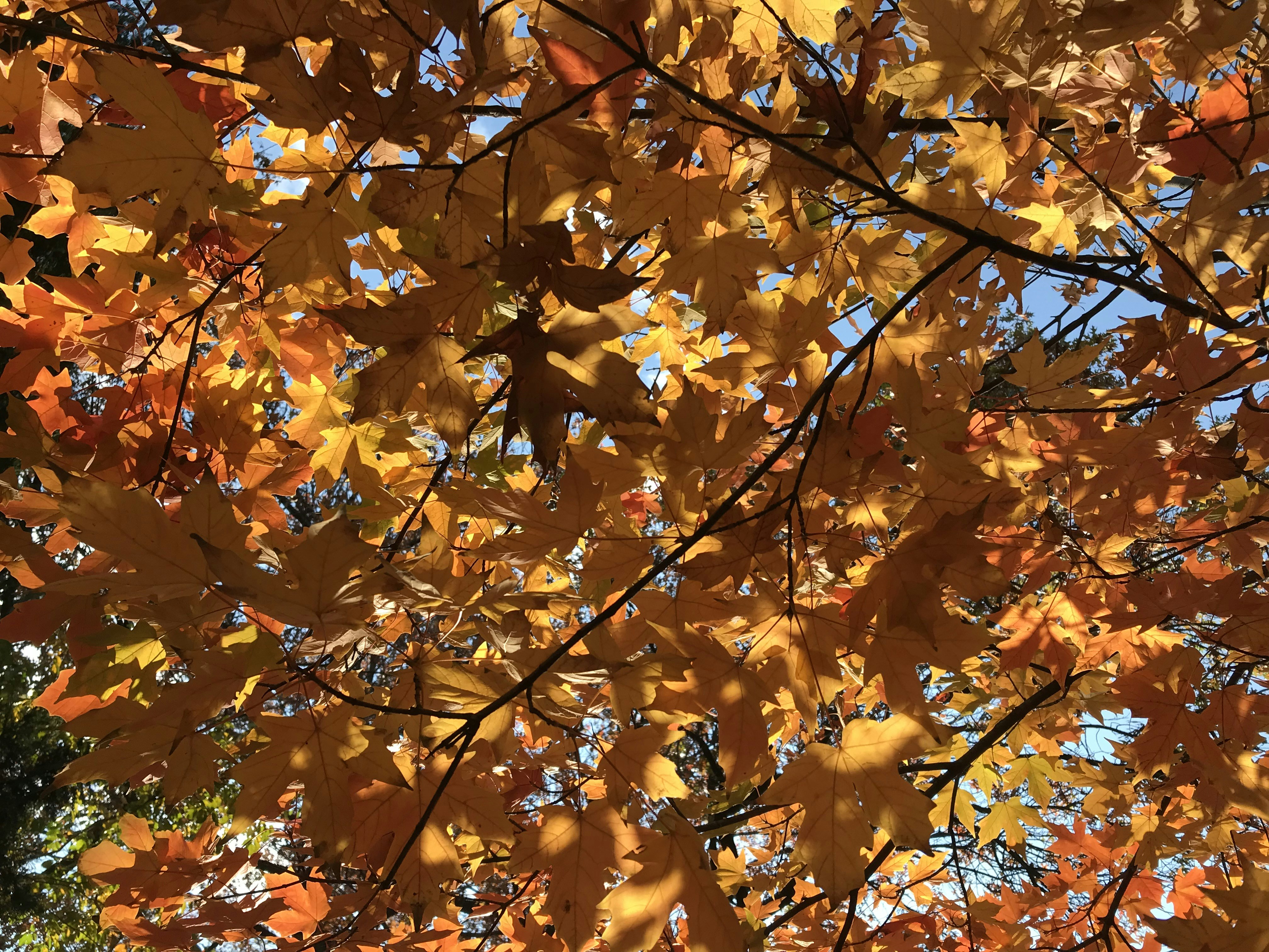 Photo by sunflower_power