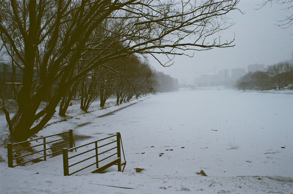 a snowy street with a fence and trees