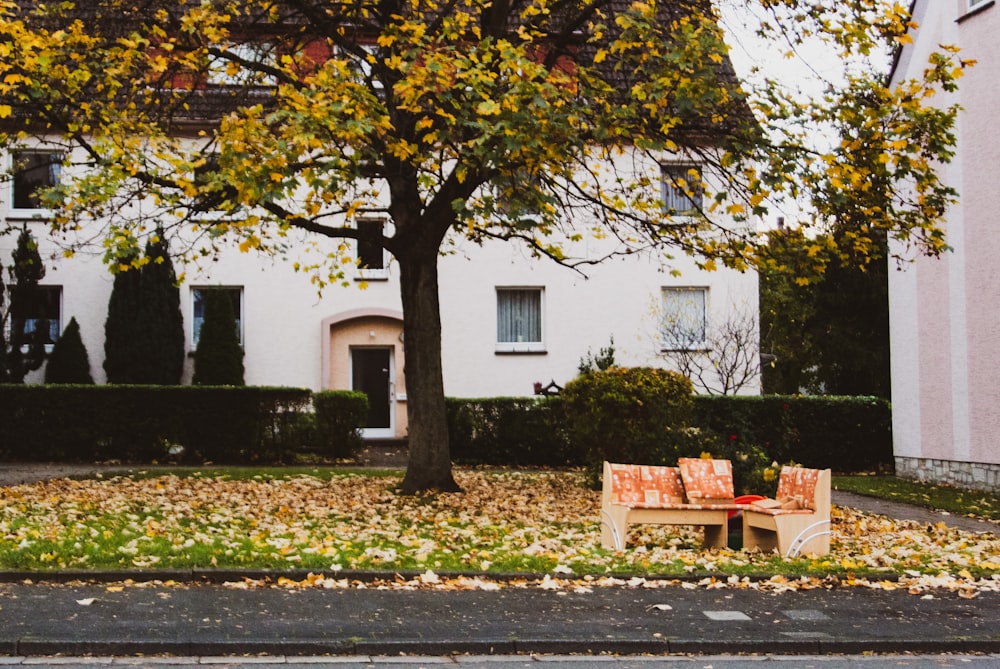 a couple of wooden benches sitting under a tree