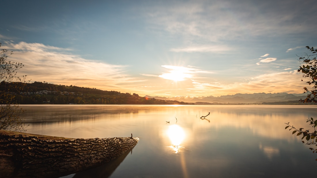 A serene lake reflects a stunning sunrise with the sun low on the horizon, casting warm golden hues across the sky and water. The tranquil scene includes distant mountains, a silhouetted tree line, and calm, mirror-like water. Branches and foliage frame the foreground, adding depth to the composition.