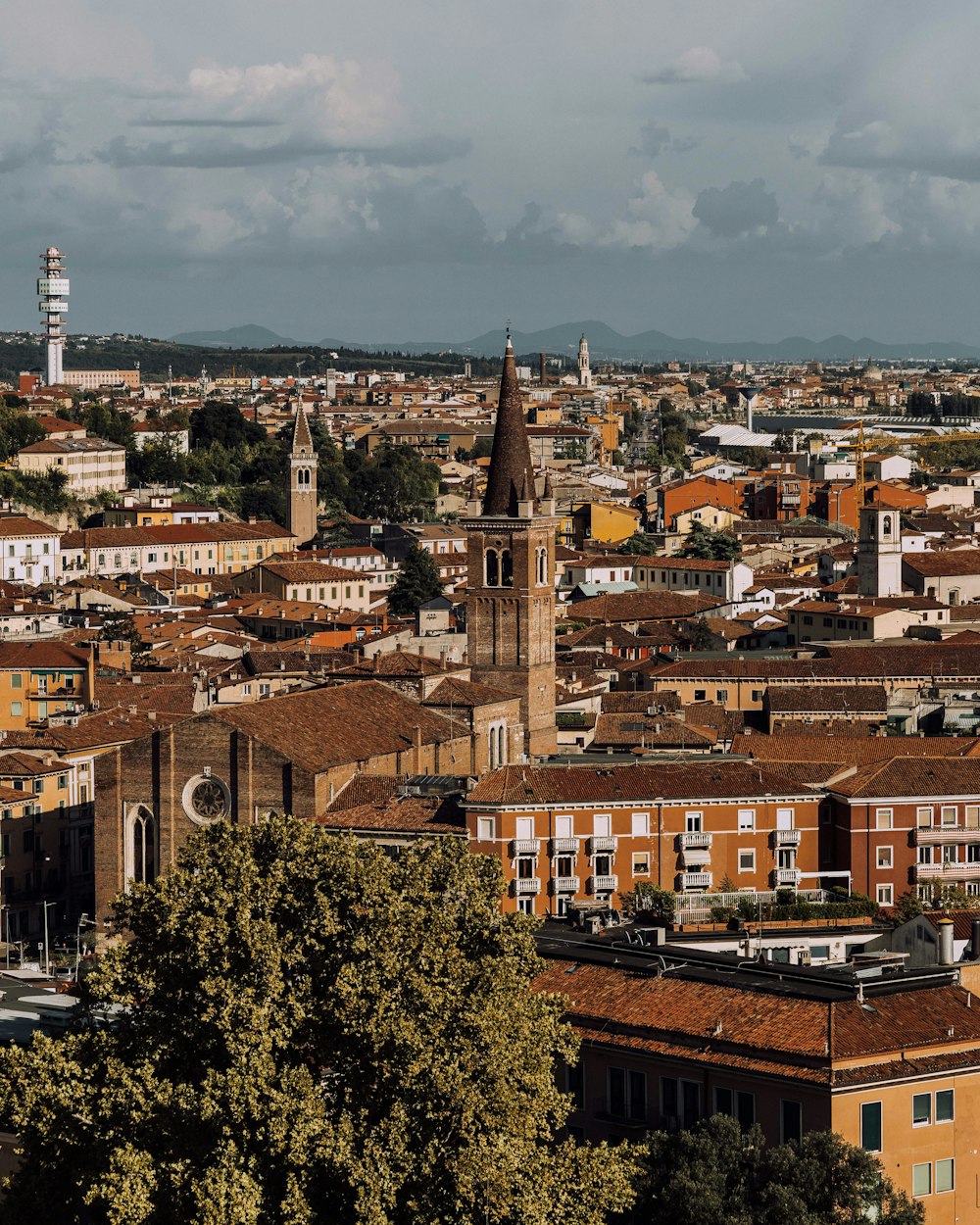 a view of a city with tall buildings and a clock tower