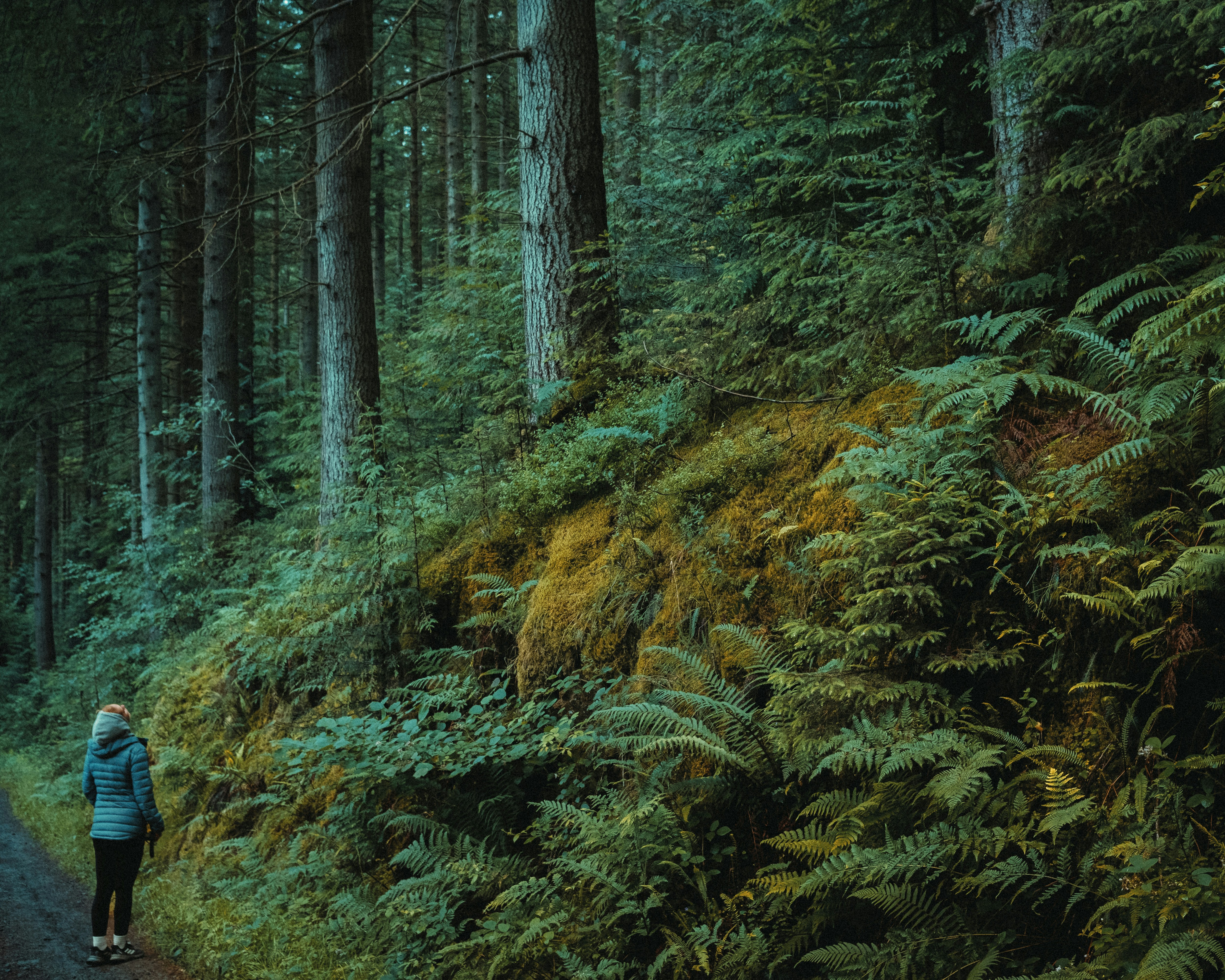 Ryvo Trailblazer Jacket