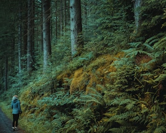 A rugged man wearing a waterproof jacket and hiking boots standing on a forest trail.