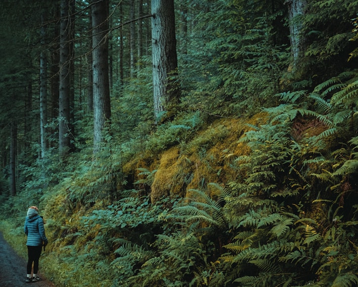 A rugged man wearing a waterproof jacket and hiking boots standing on a forest trail.