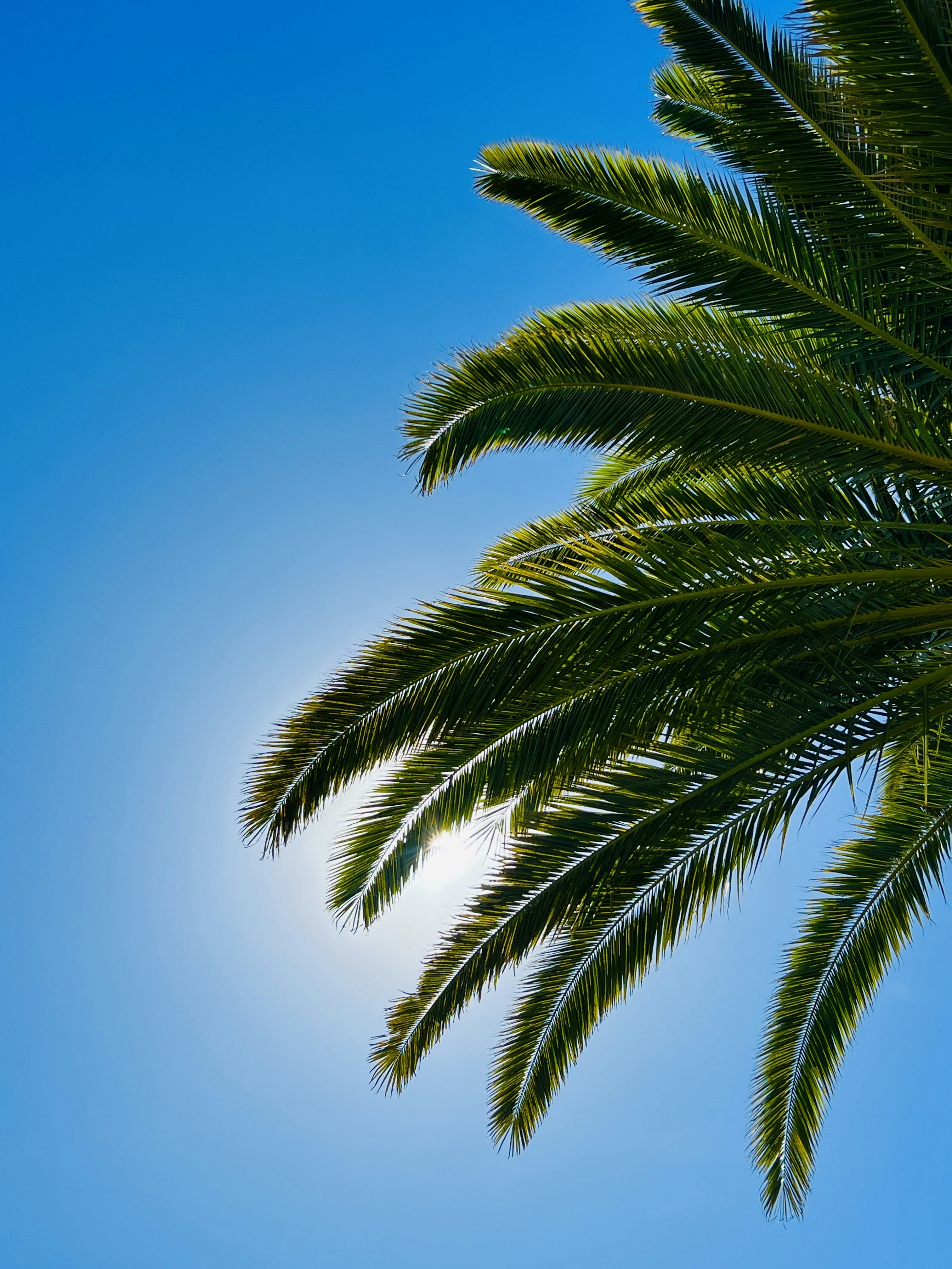 Photo by ameliagoggin