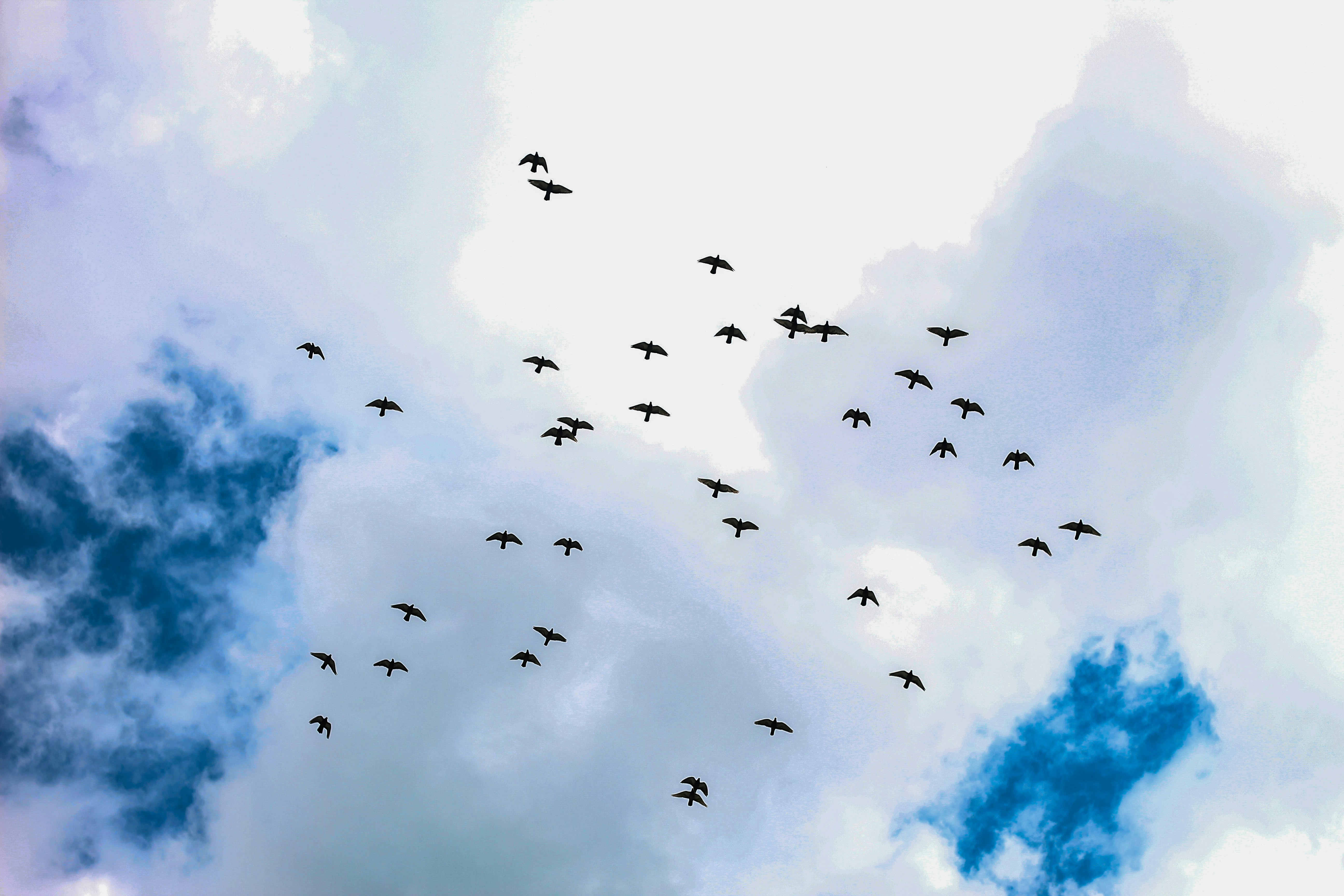 Photo by aalsee_balak