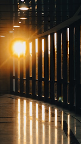 A serene hospital corridor with natural light streaming through windows.