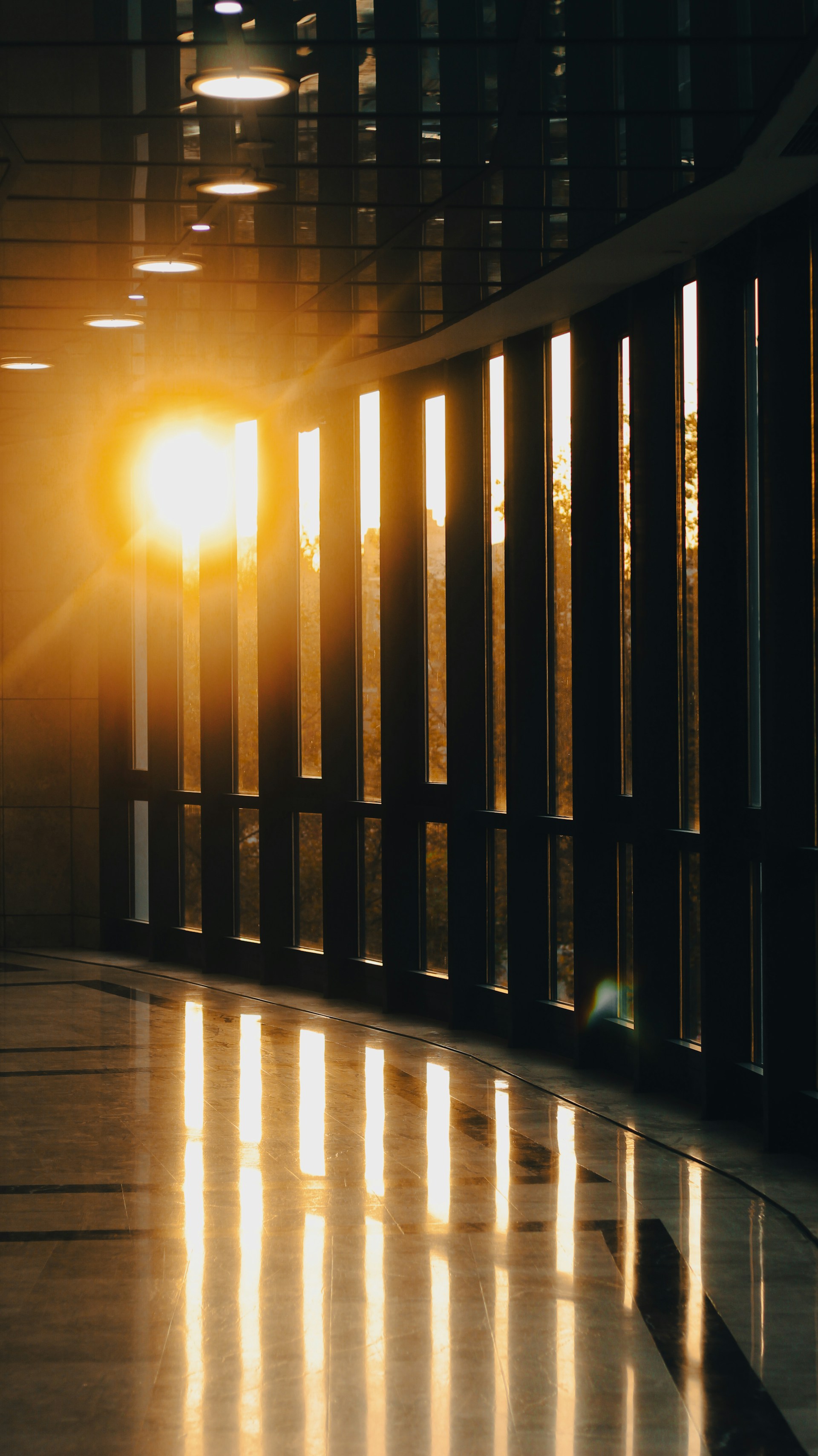 Sunlight streaming through large windows illuminating a golden-themed school hallway with proud student artwork displayed.
