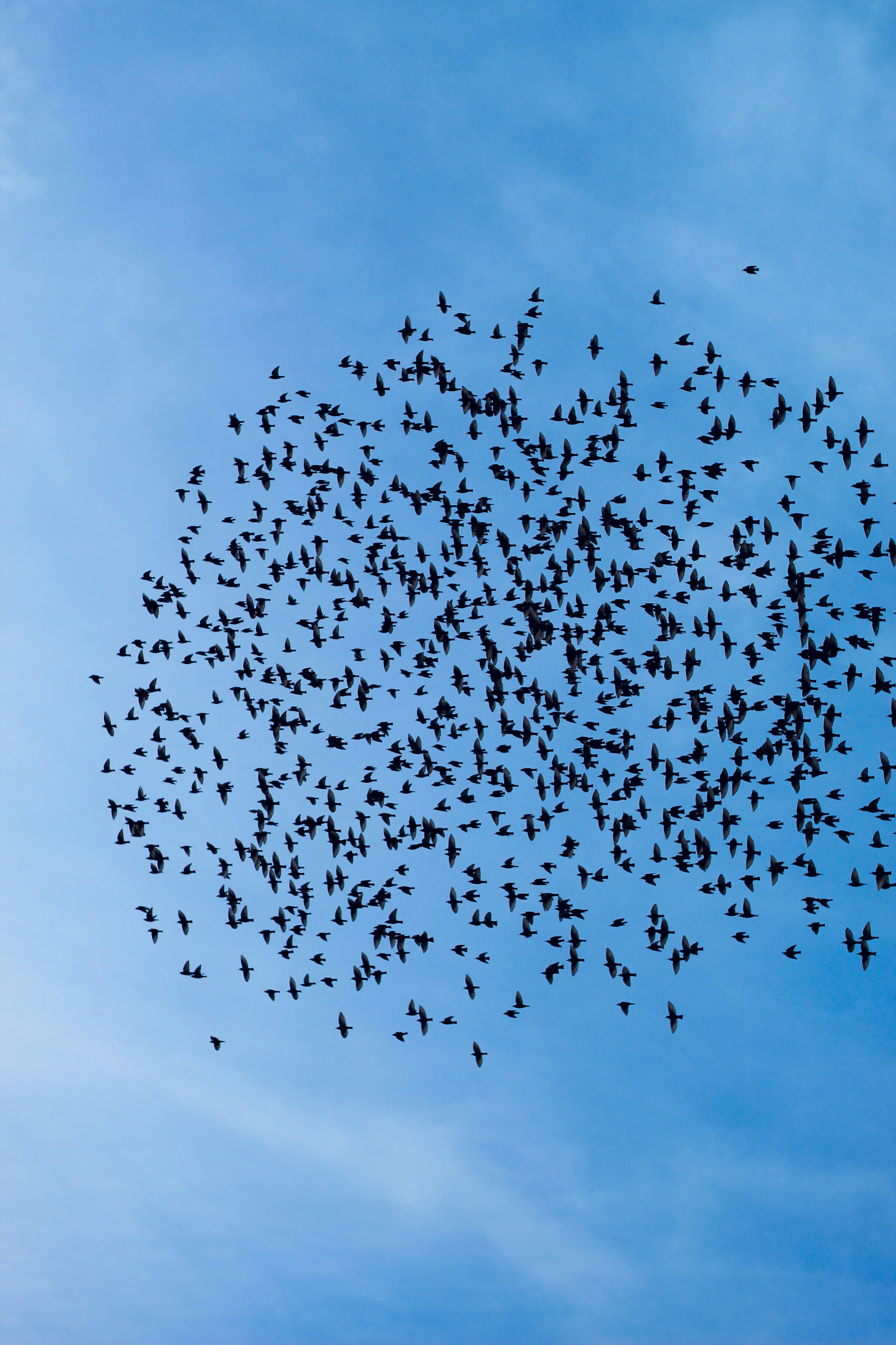 Photo by esrakorkmaz