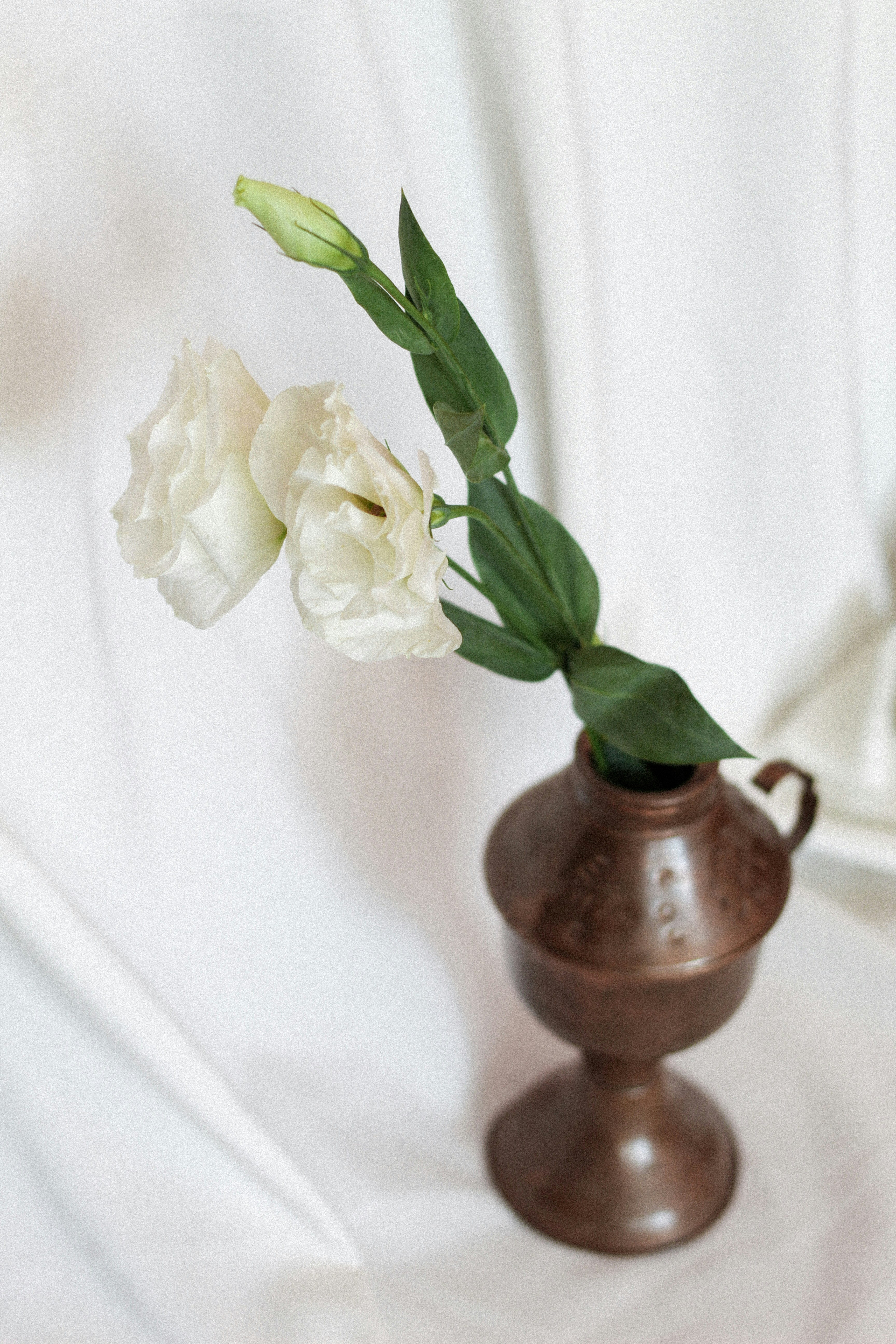 Photo by esrakorkmaz