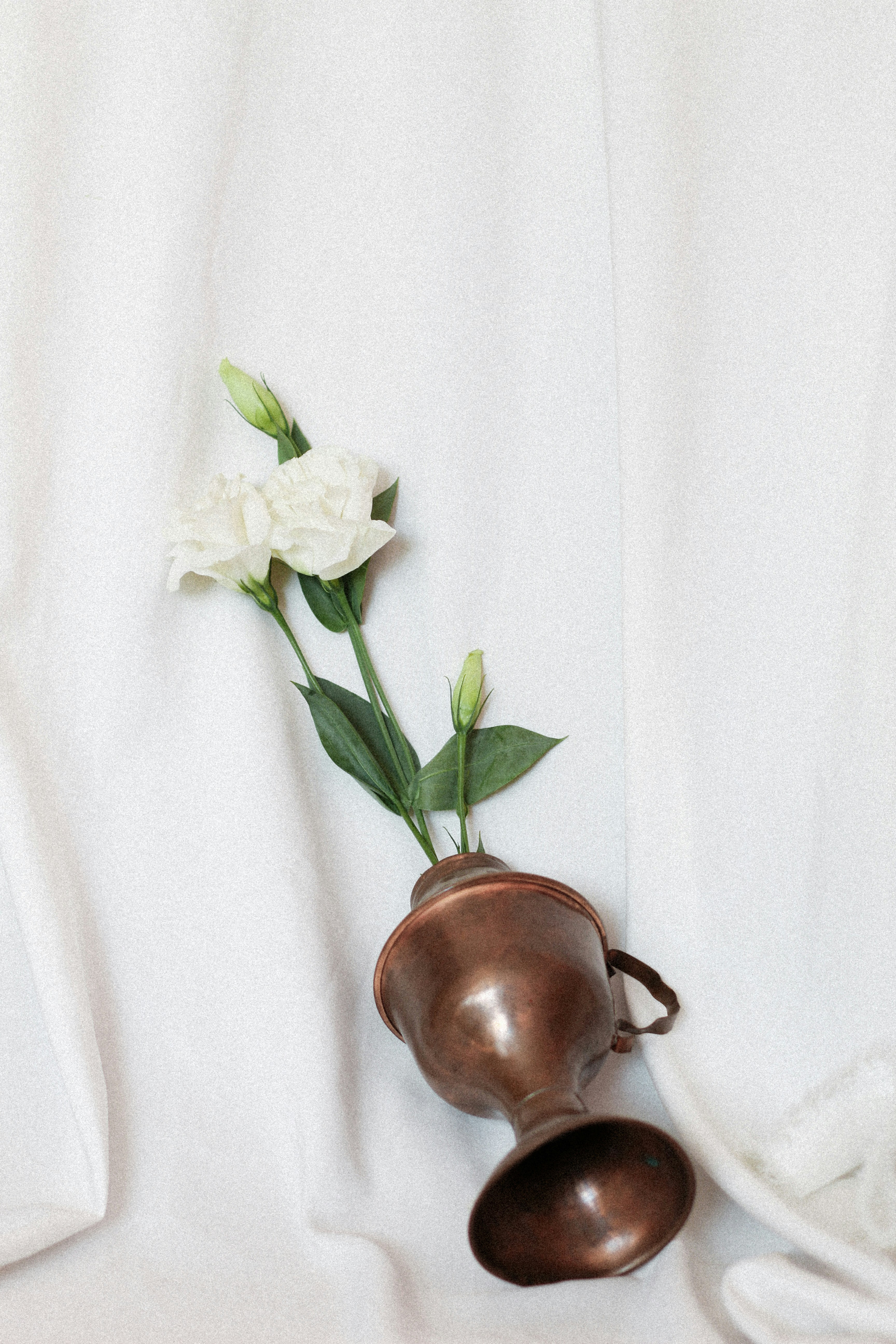 Photo by esrakorkmaz