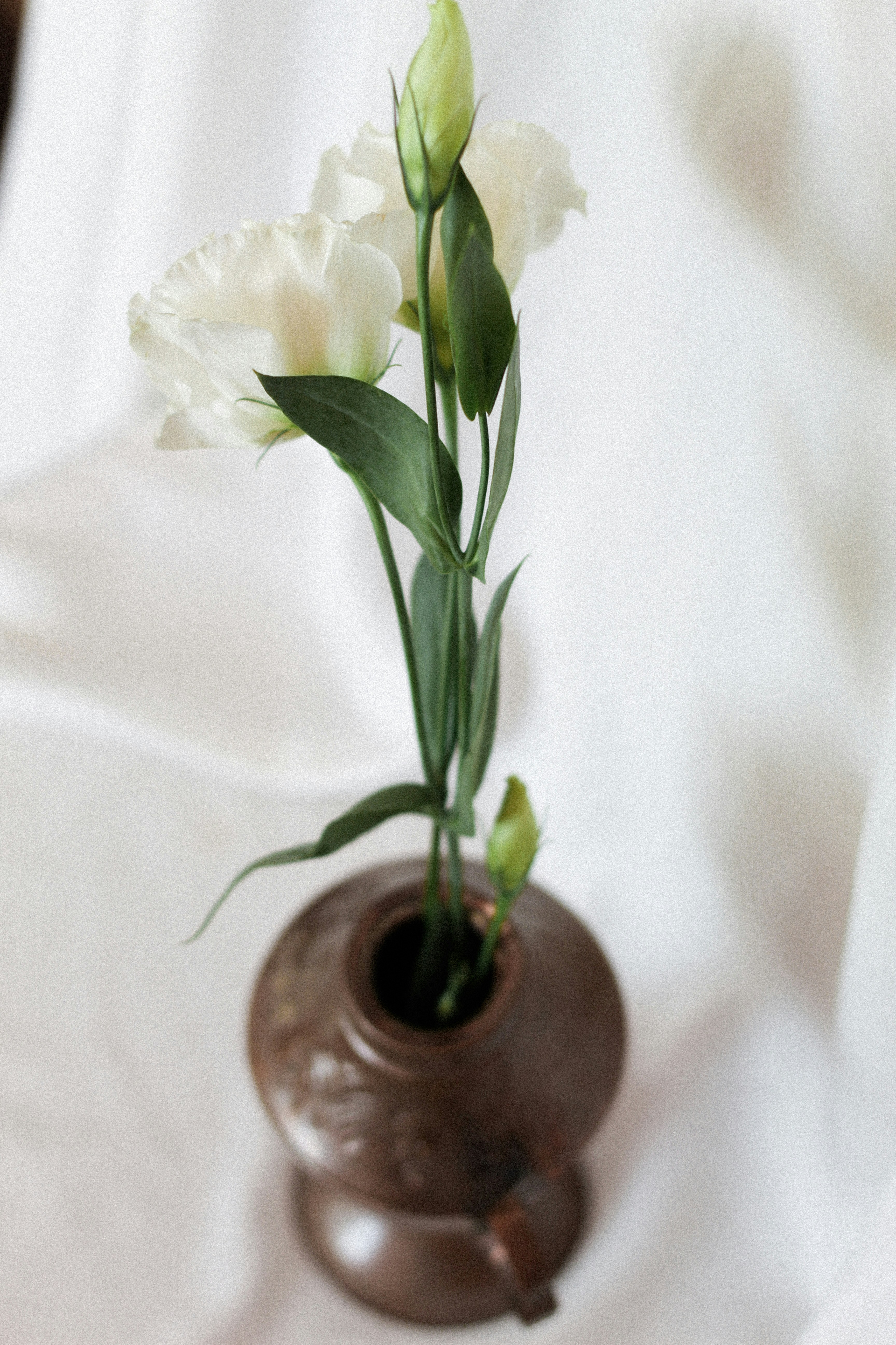 Photo by esrakorkmaz