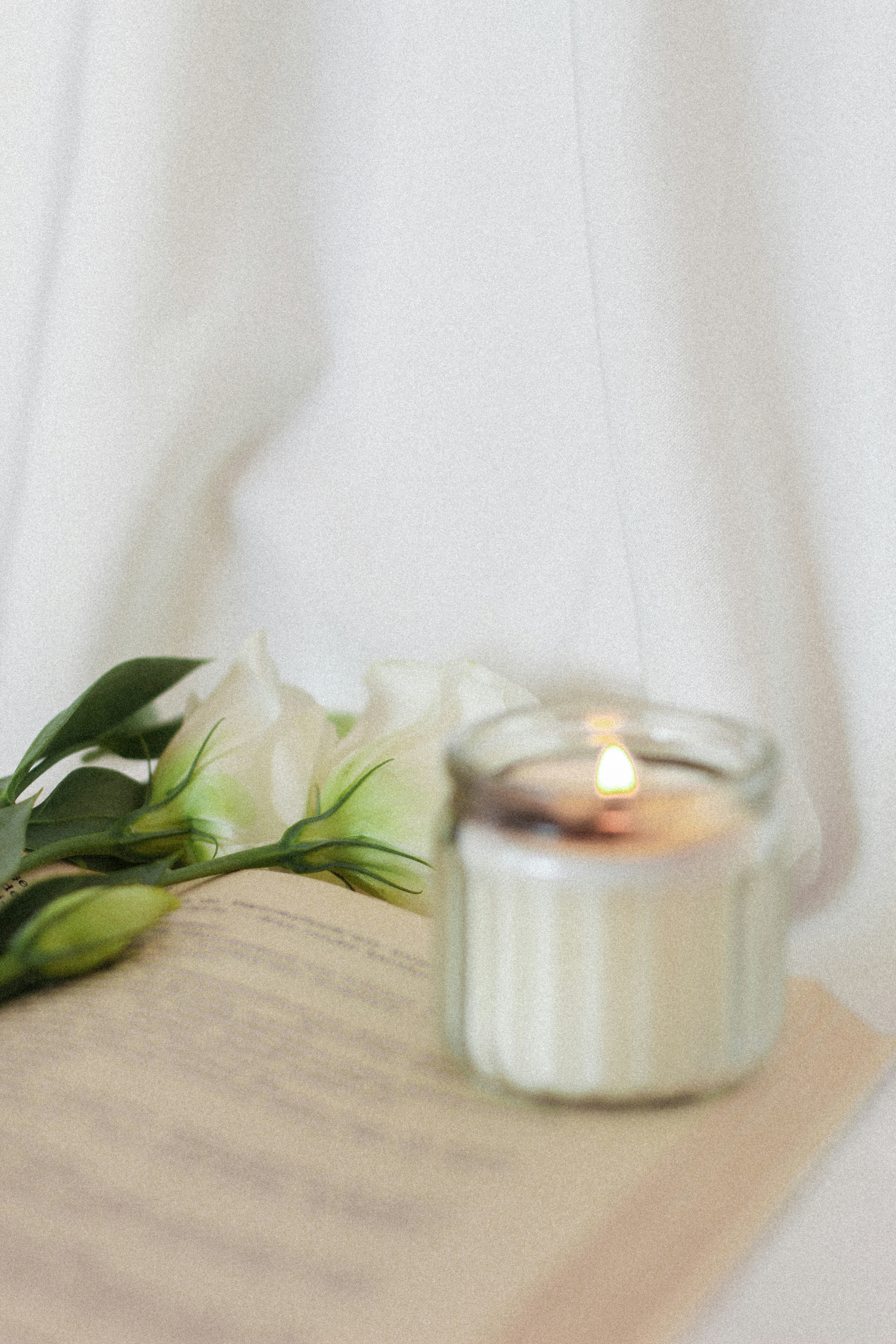 Photo by esrakorkmaz