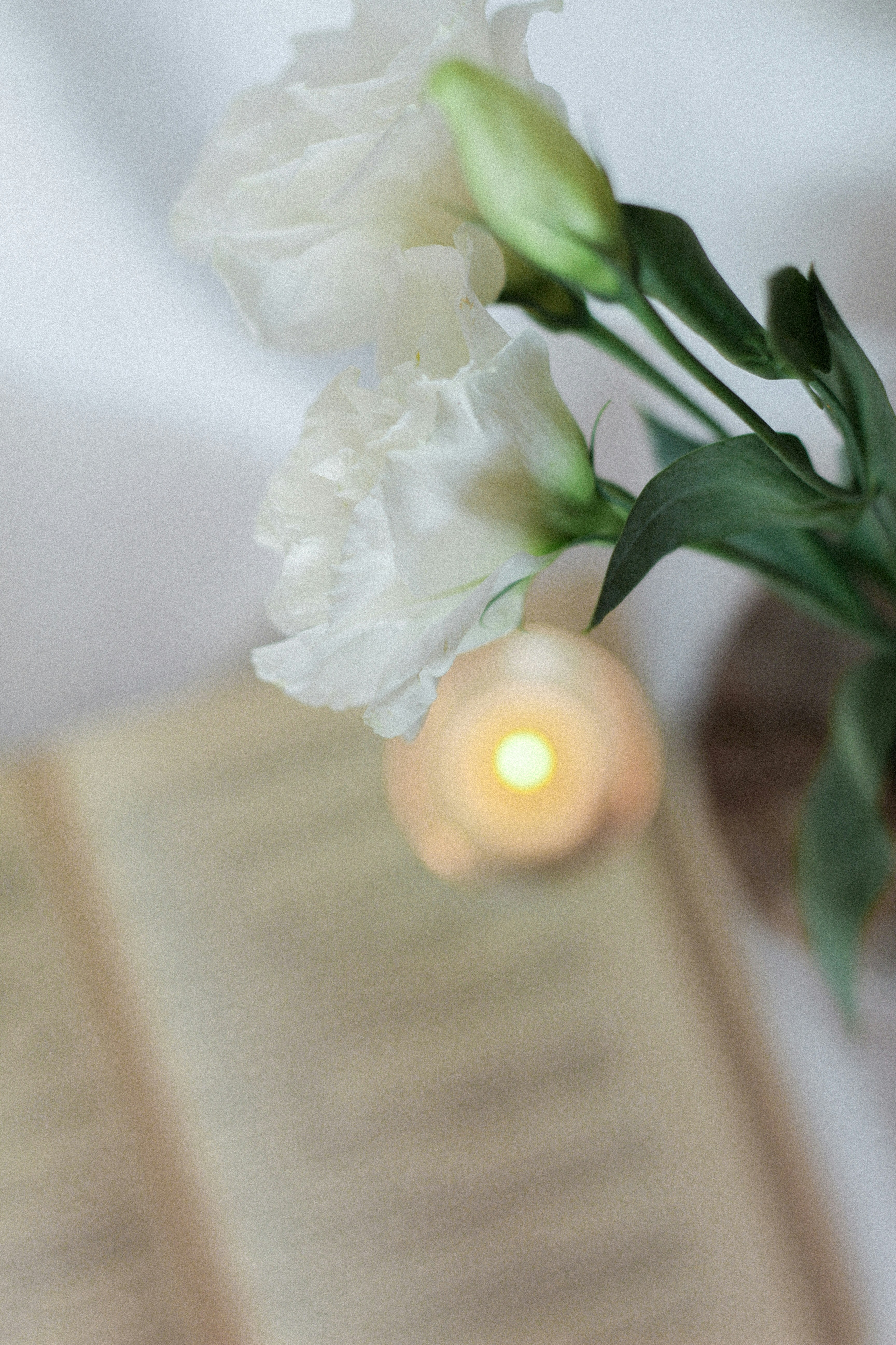 Photo by esrakorkmaz